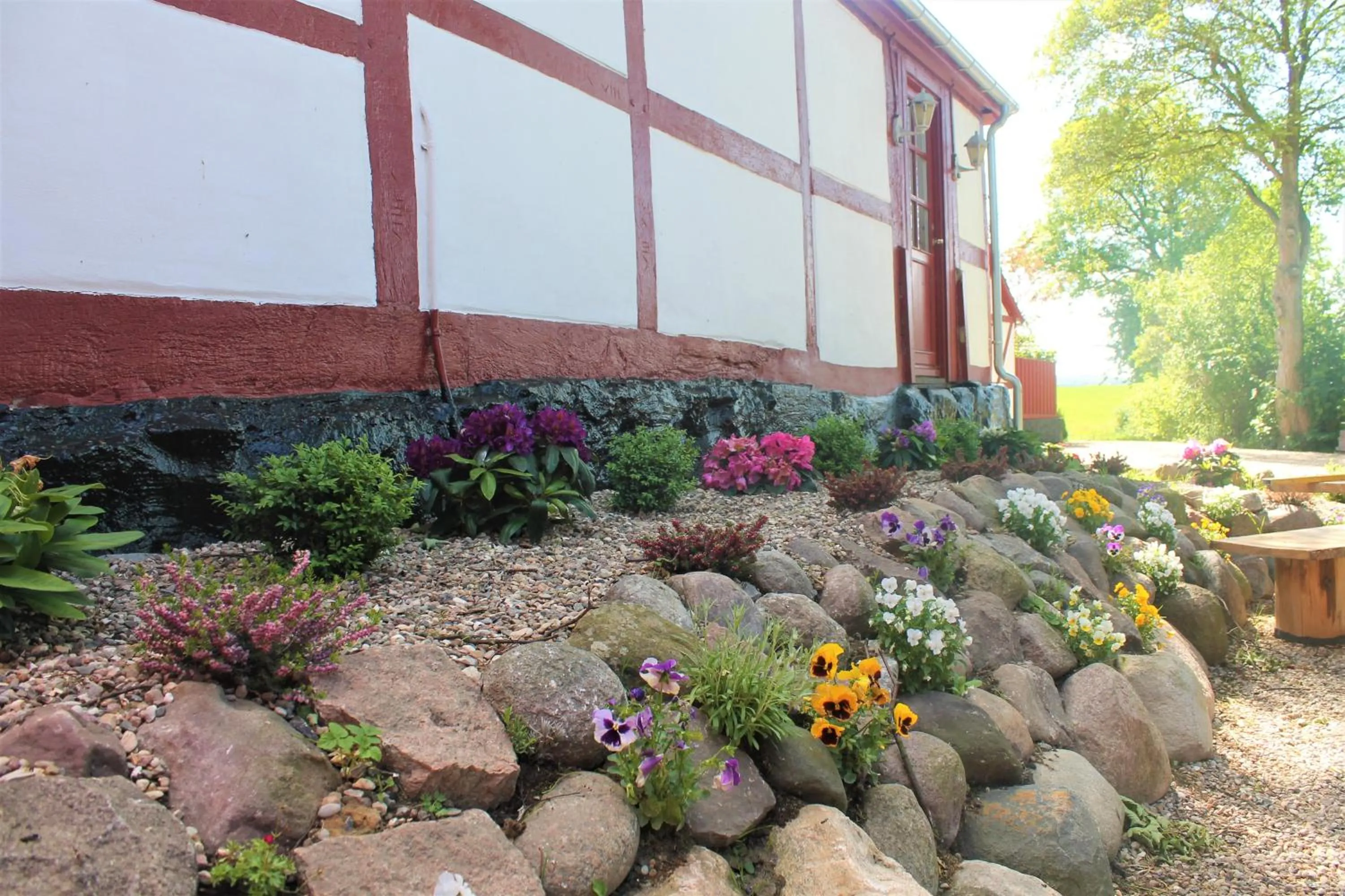 Natural landscape in Jungshoved Præstegård B&B