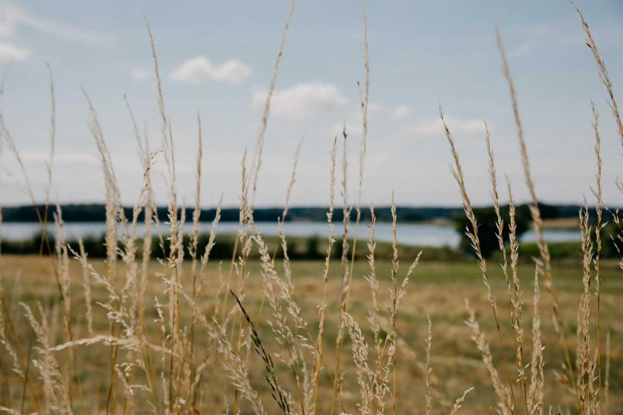 Natural landscape in Jungshoved Præstegård B&B