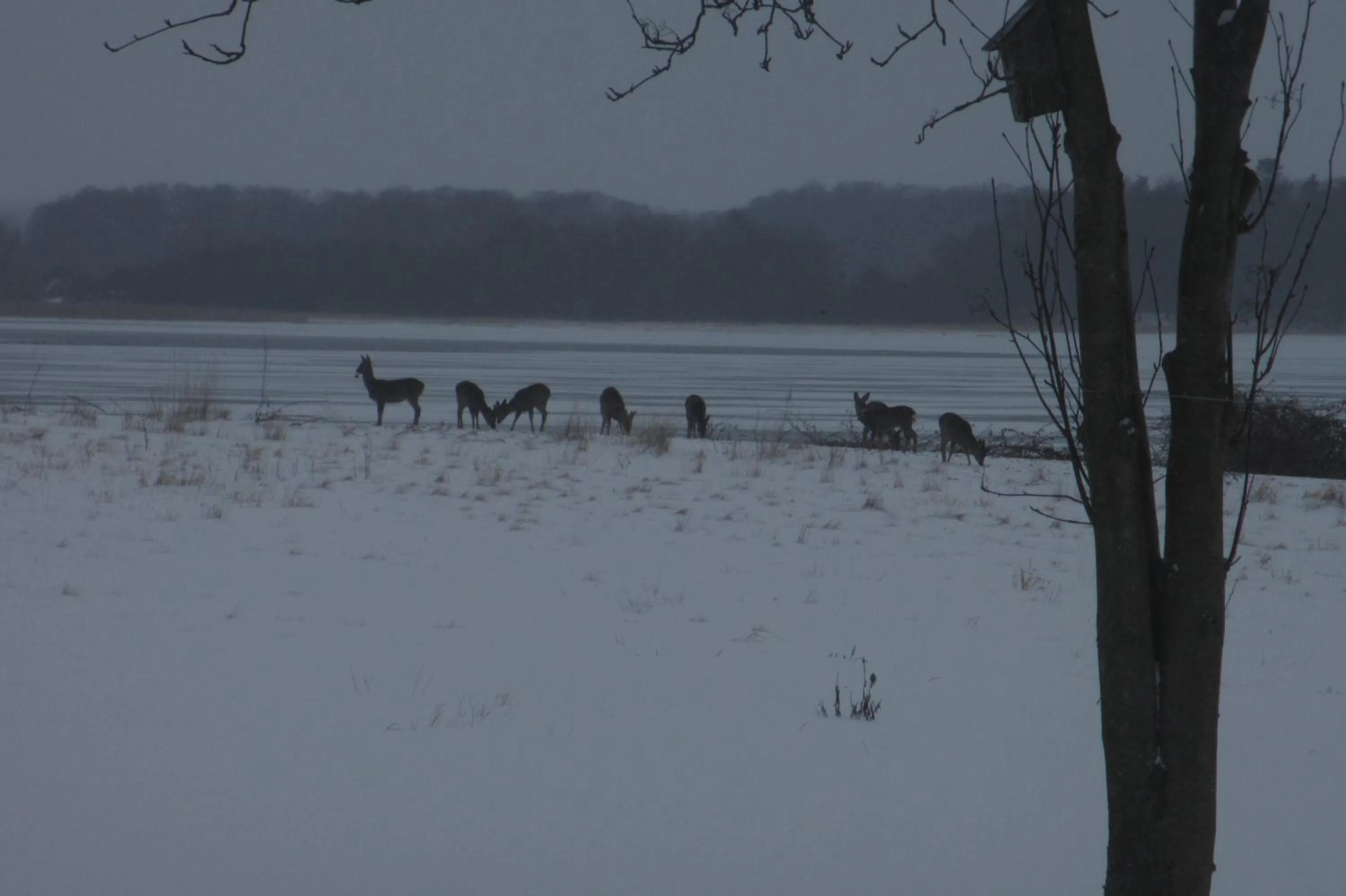Beach in Jungshoved Præstegård B&B