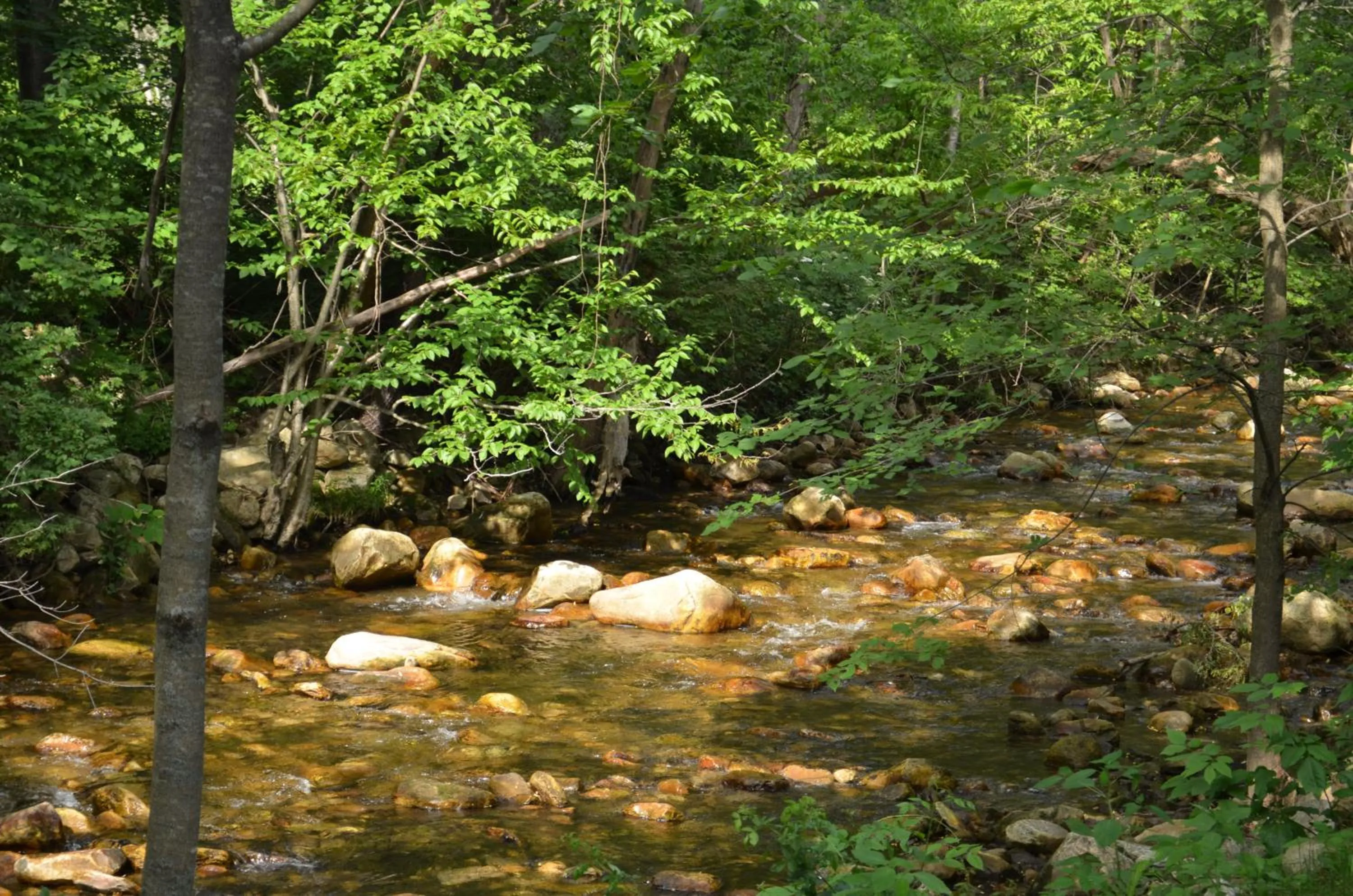 Area and facilities in Cozy Corner Motel