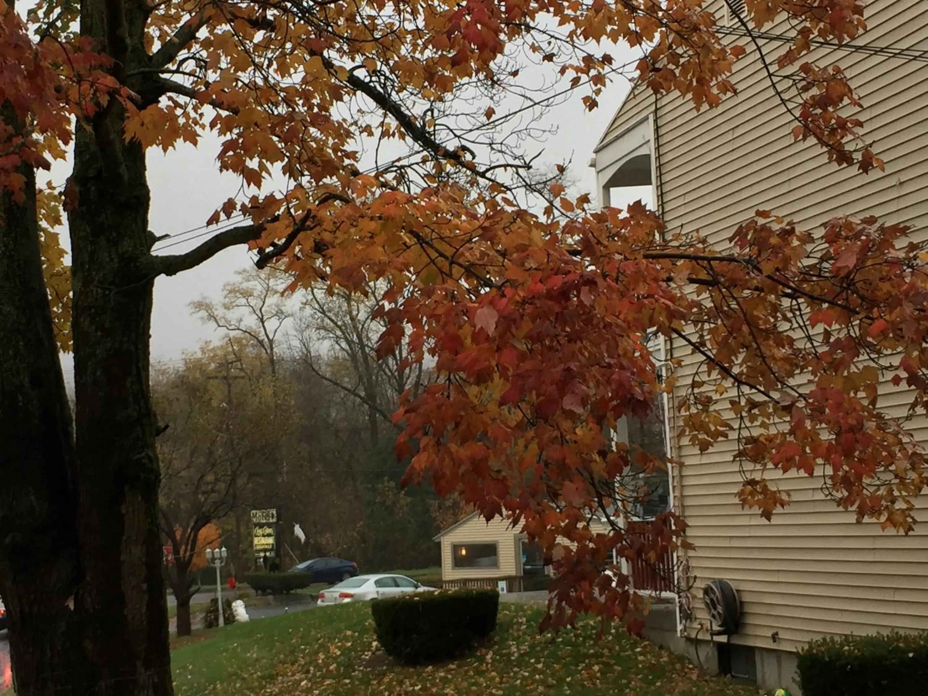 Day in Cozy Corner Motel