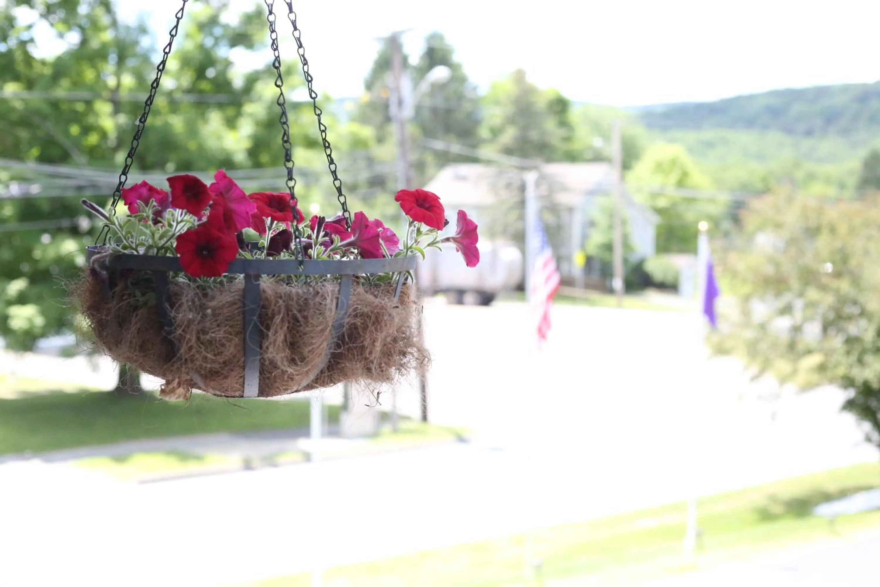 Natural landscape in Cozy Corner Motel
