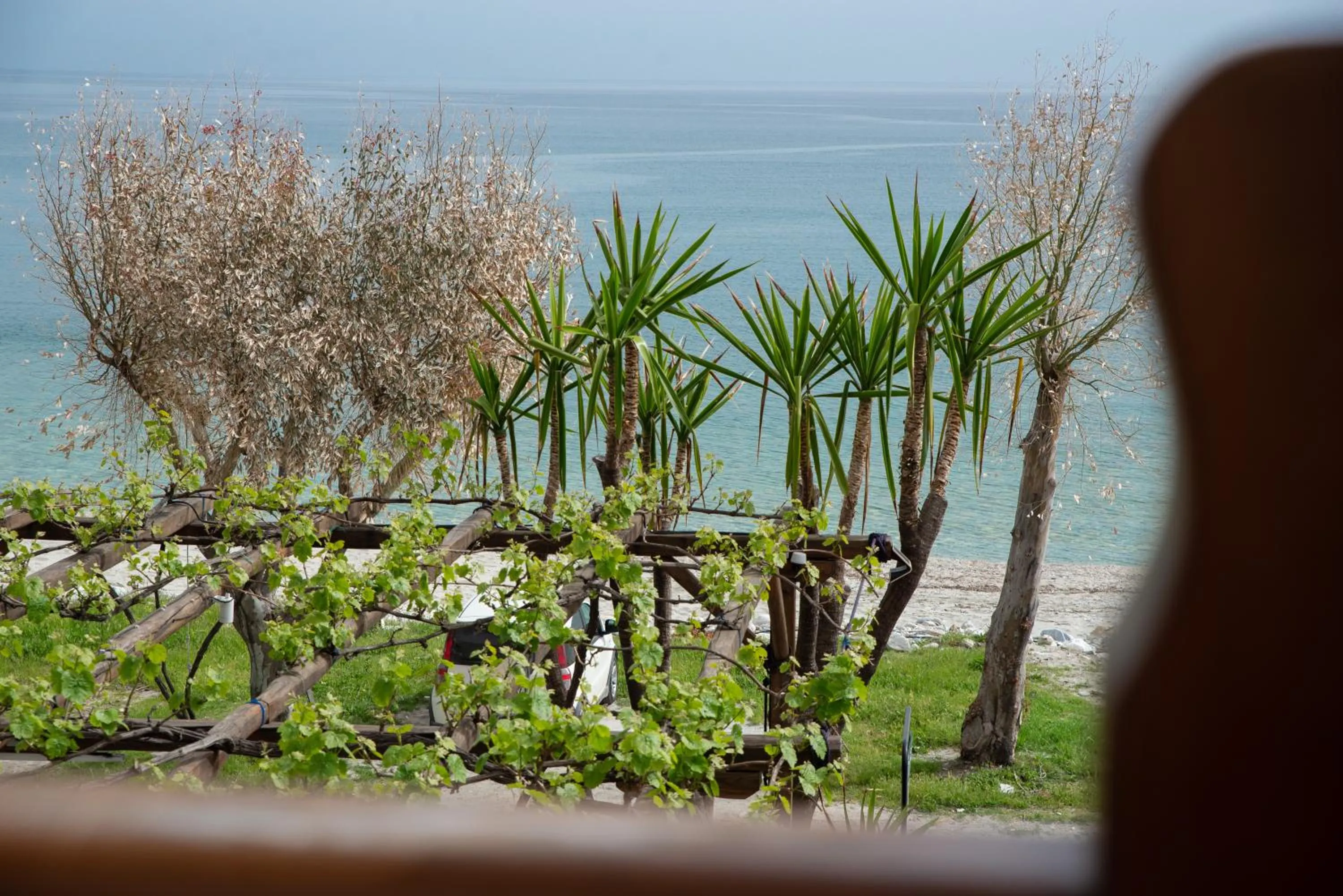 Natural landscape in Hotel Cleopatra