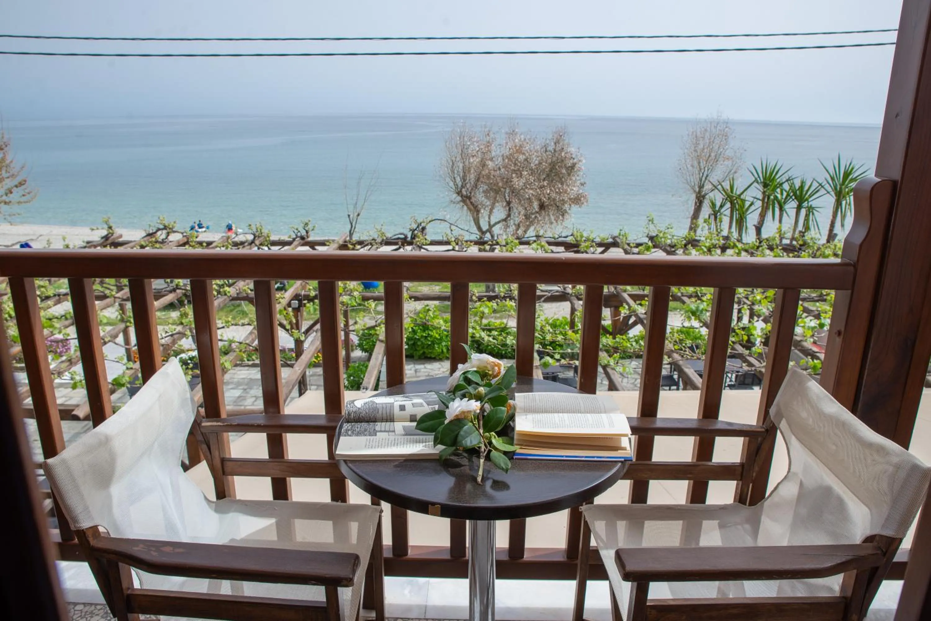 Balcony/Terrace in Hotel Cleopatra