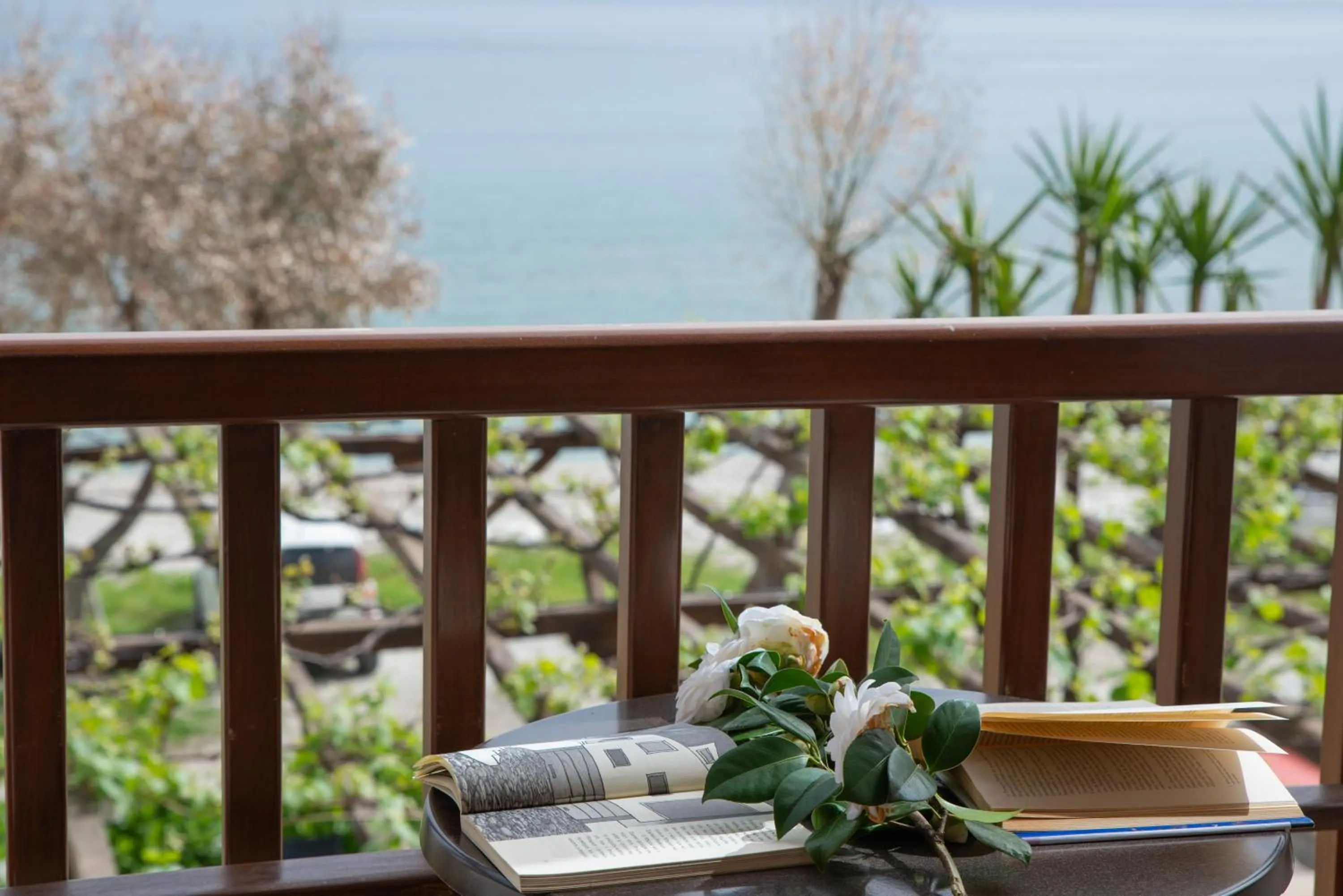 Natural landscape in Hotel Cleopatra