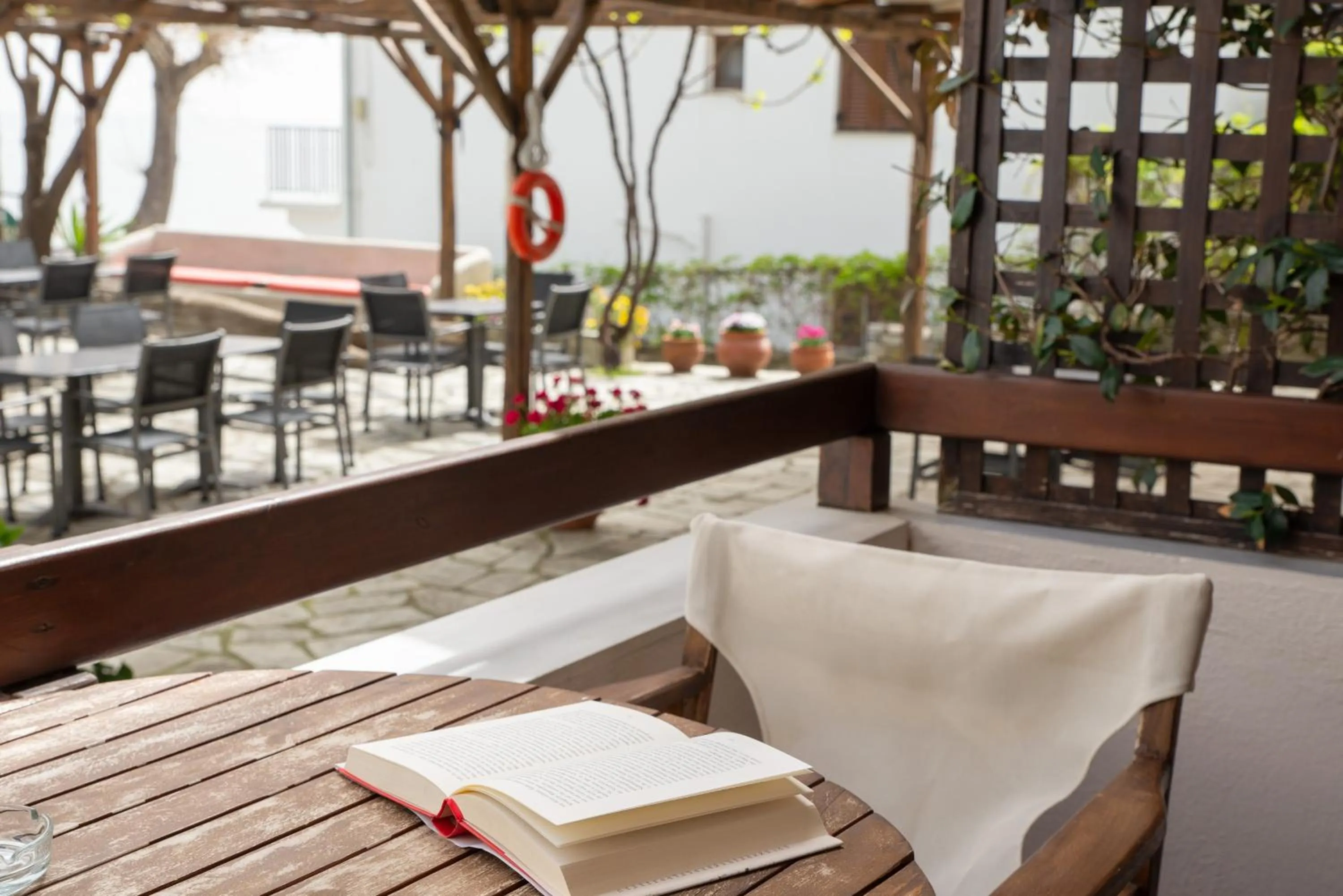 Day in Hotel Cleopatra