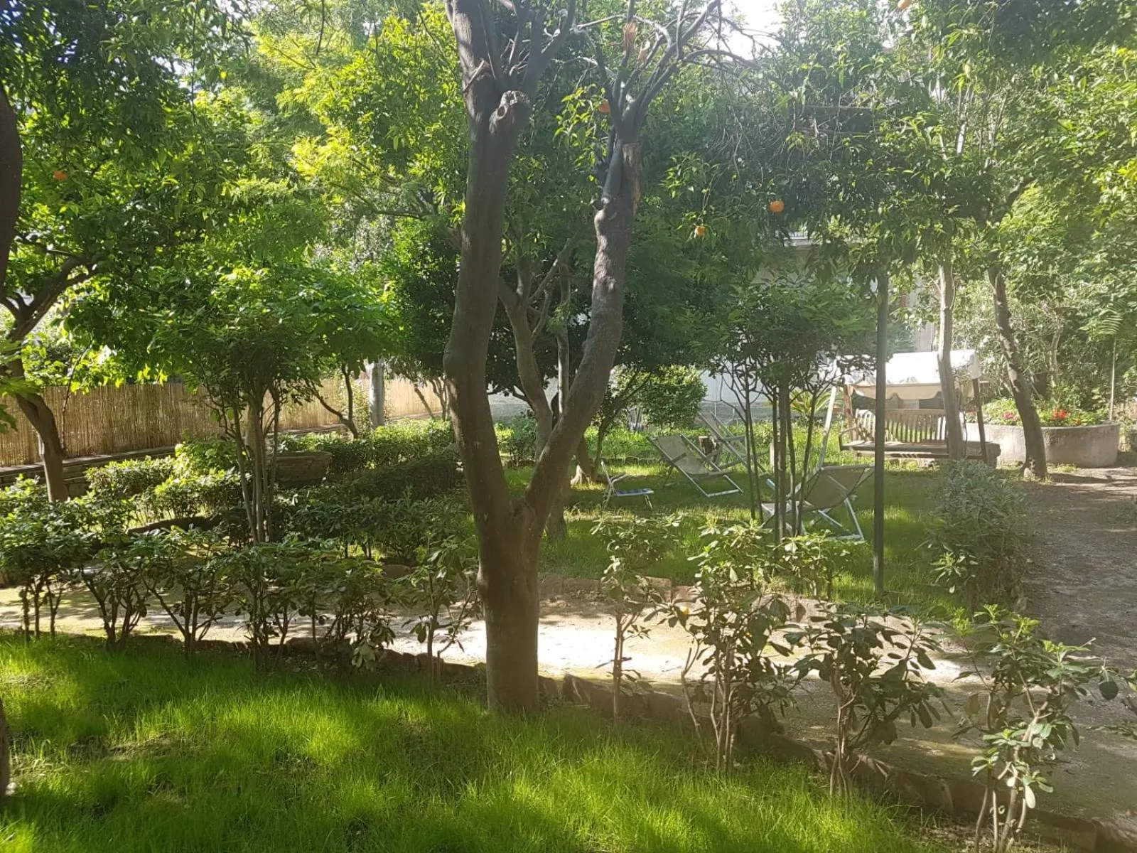 Il Giardino Di Vico Neve