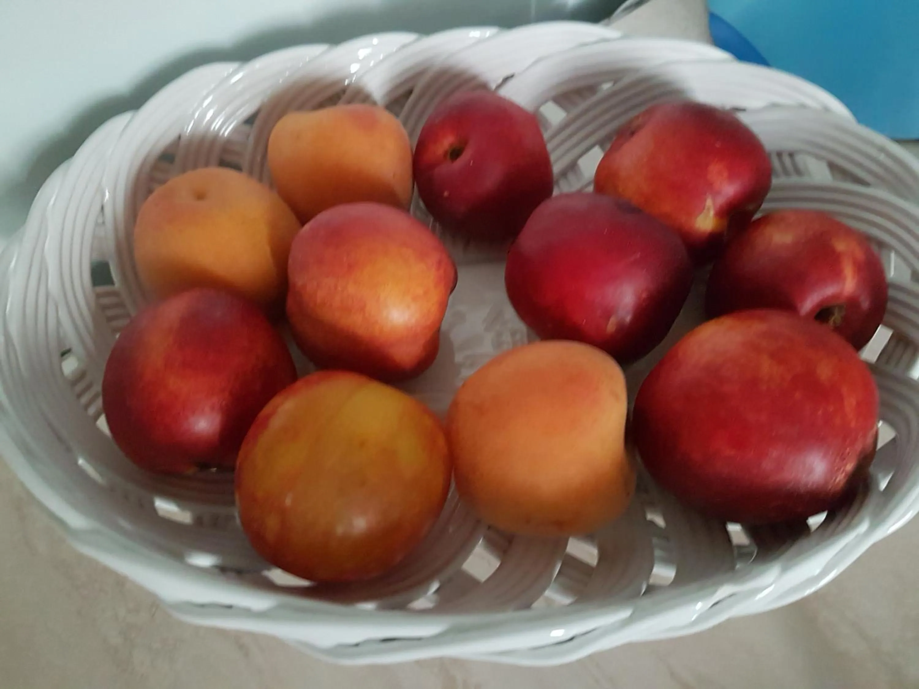 Il Giardino Di Vico Neve