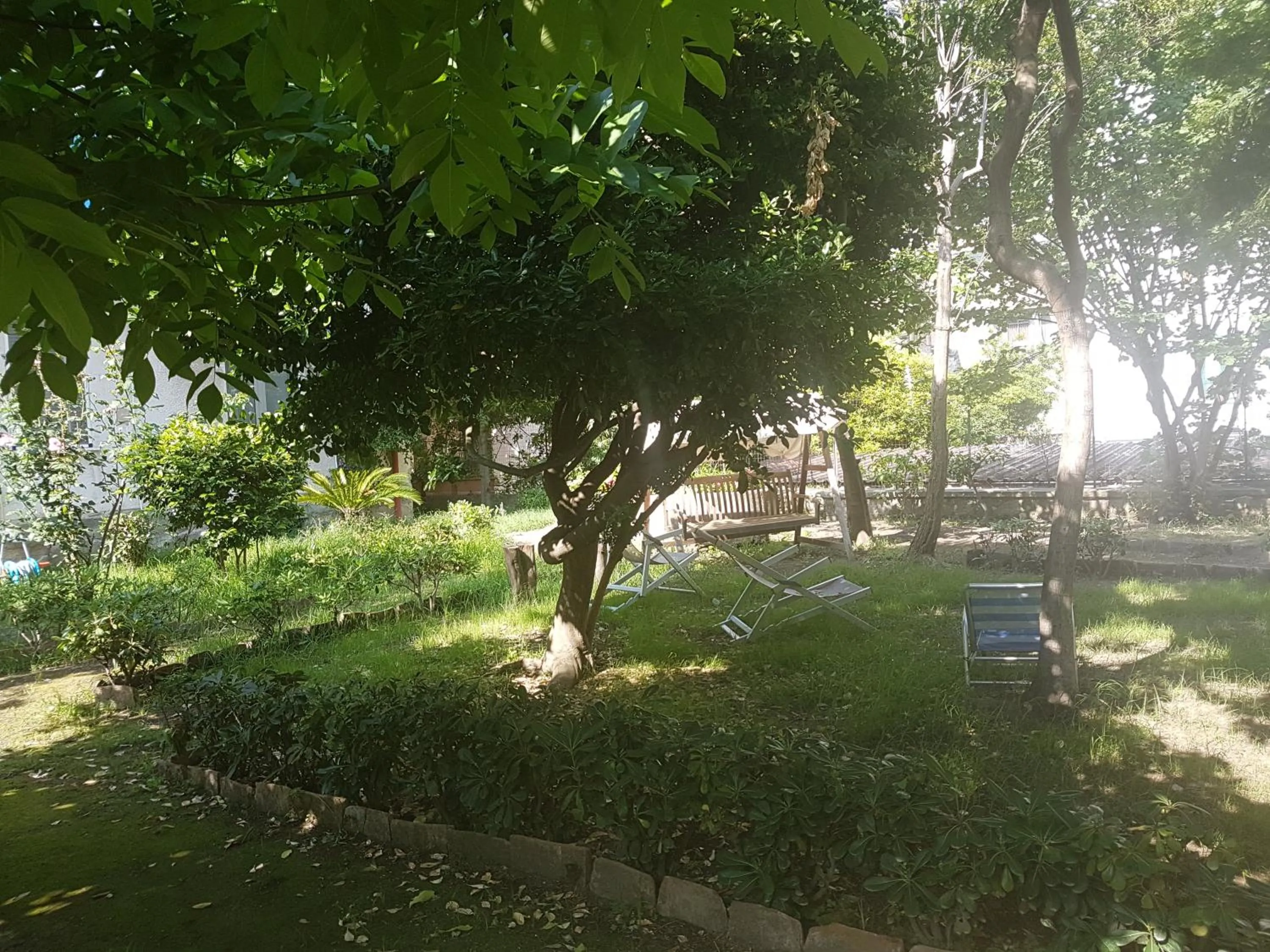 Il Giardino Di Vico Neve