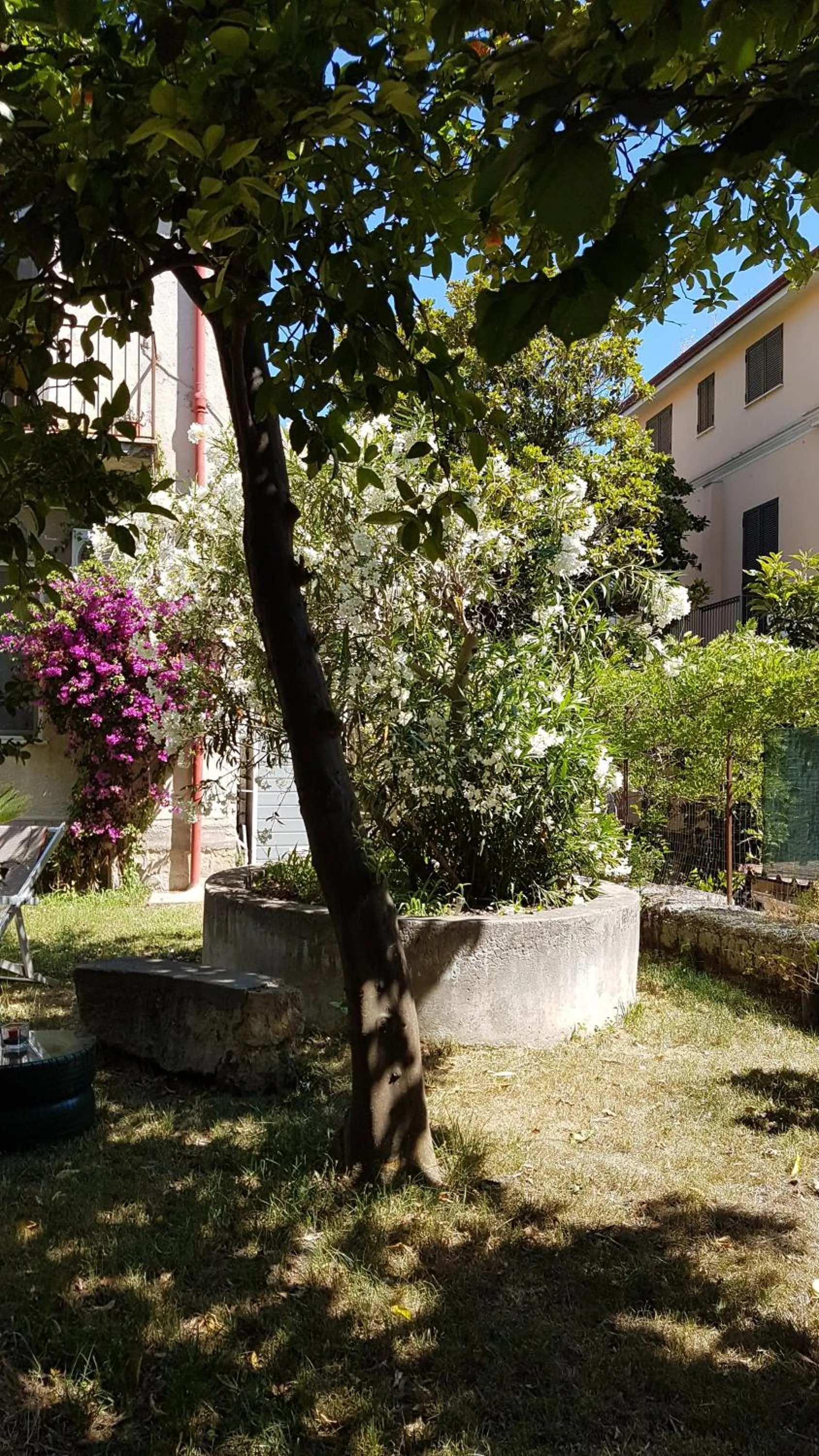 Il Giardino Di Vico Neve