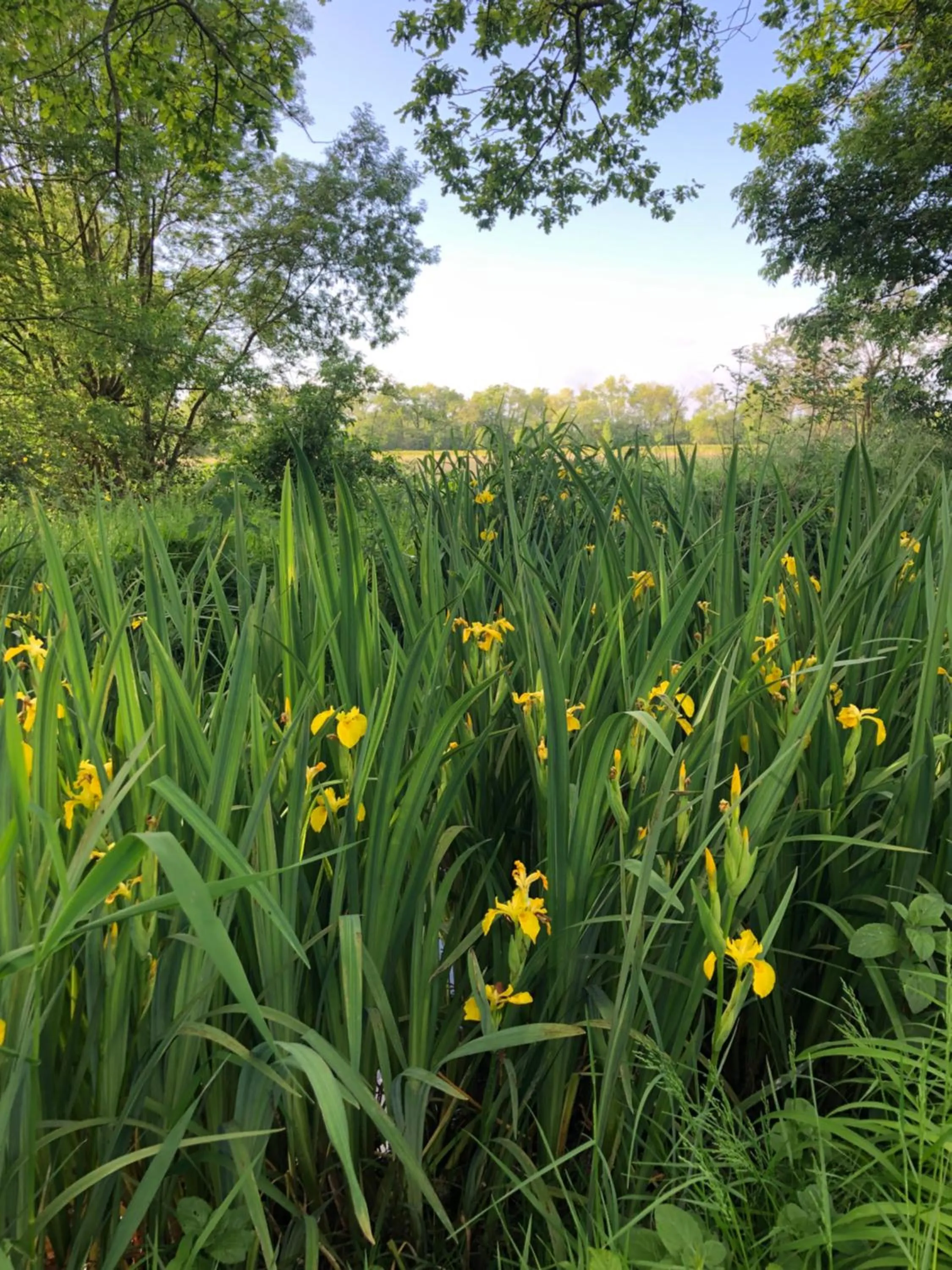 Spring in Le Logis de Vallans