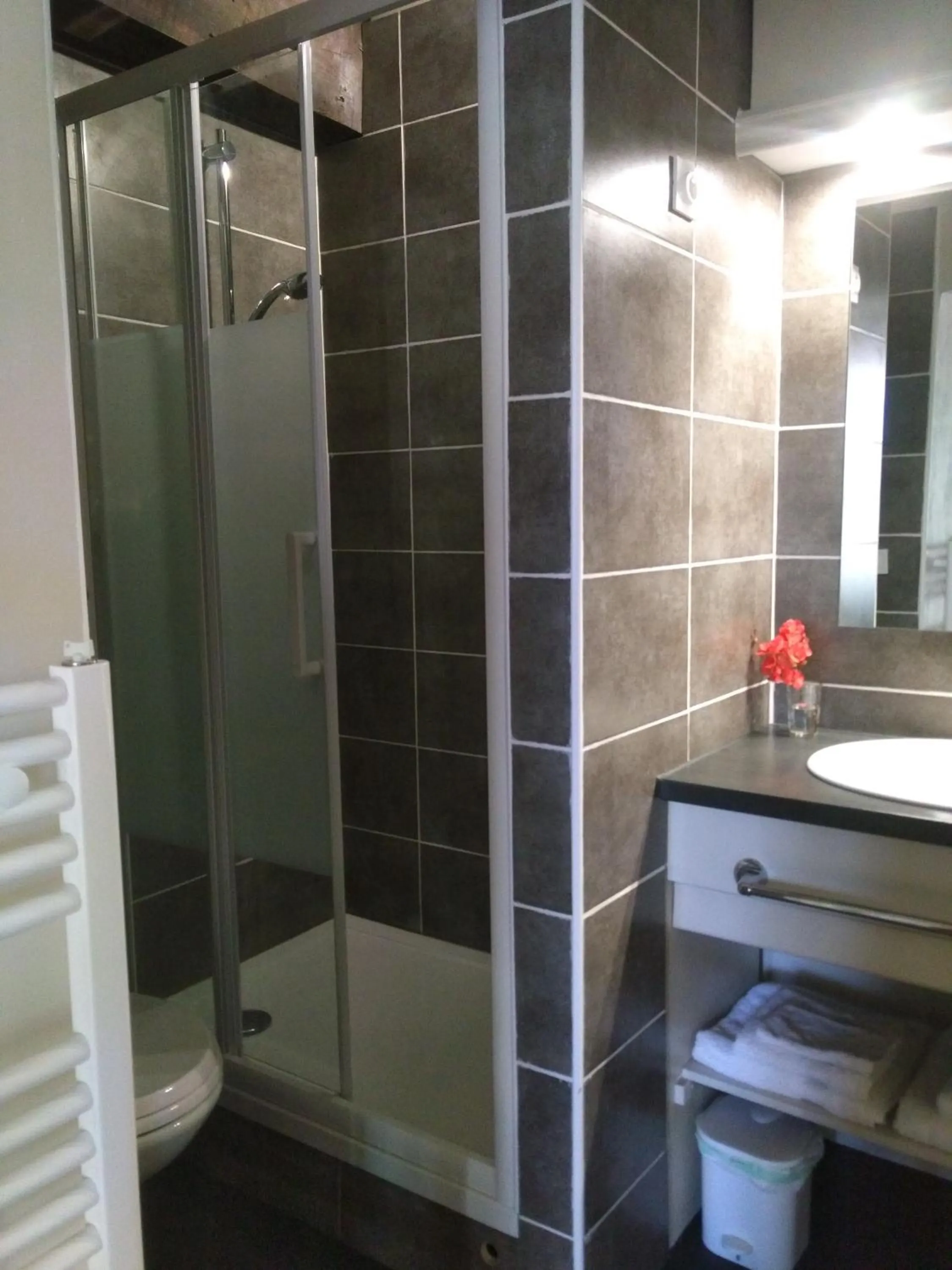 Shower in Le Logis de Vallans