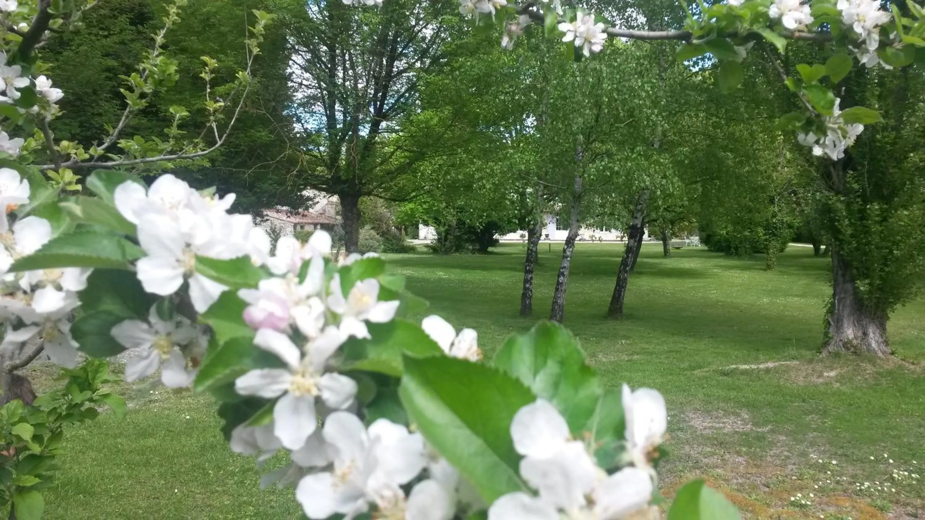 Spring in Le Logis de Vallans