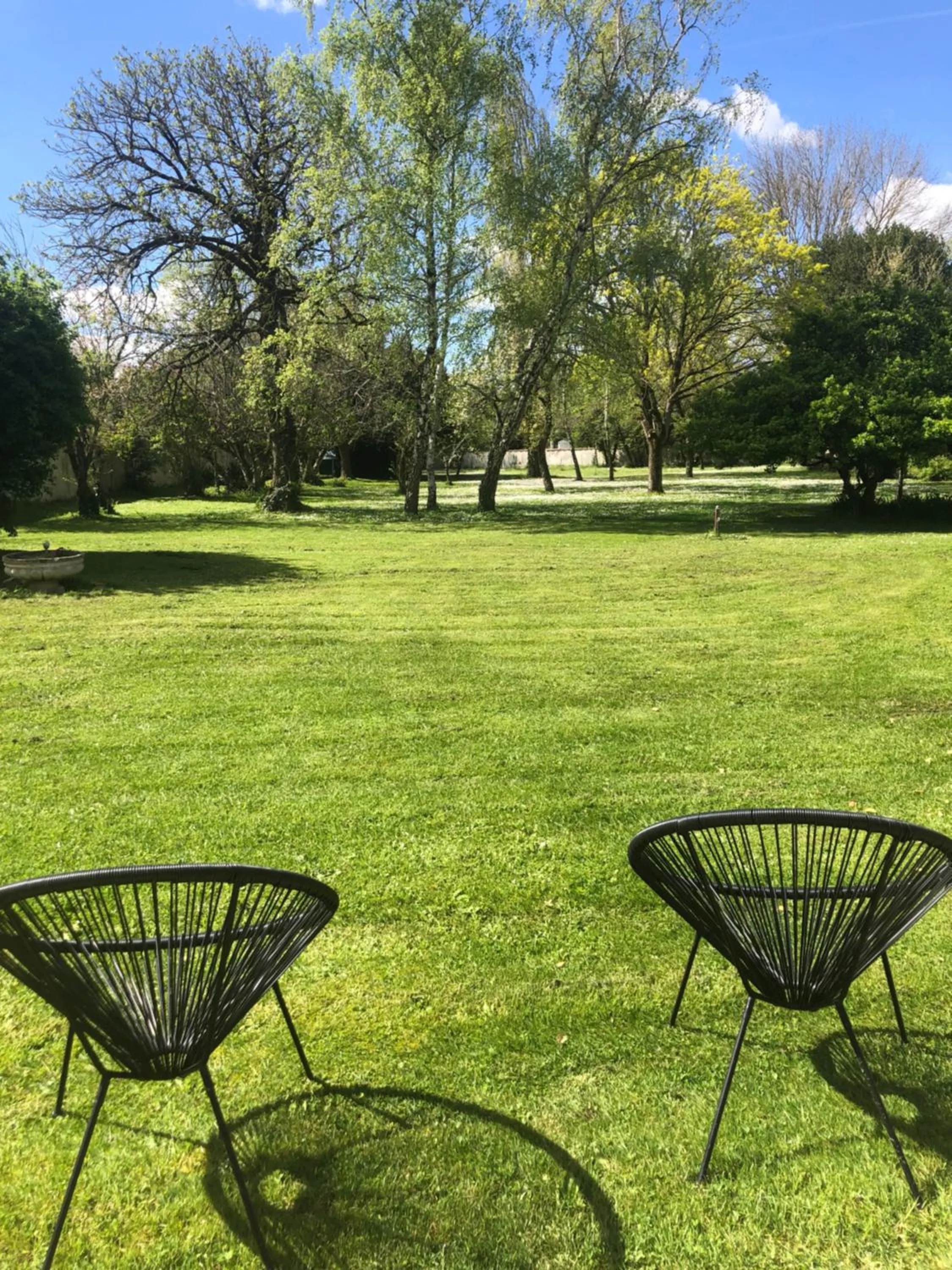 Garden in Le Logis de Vallans