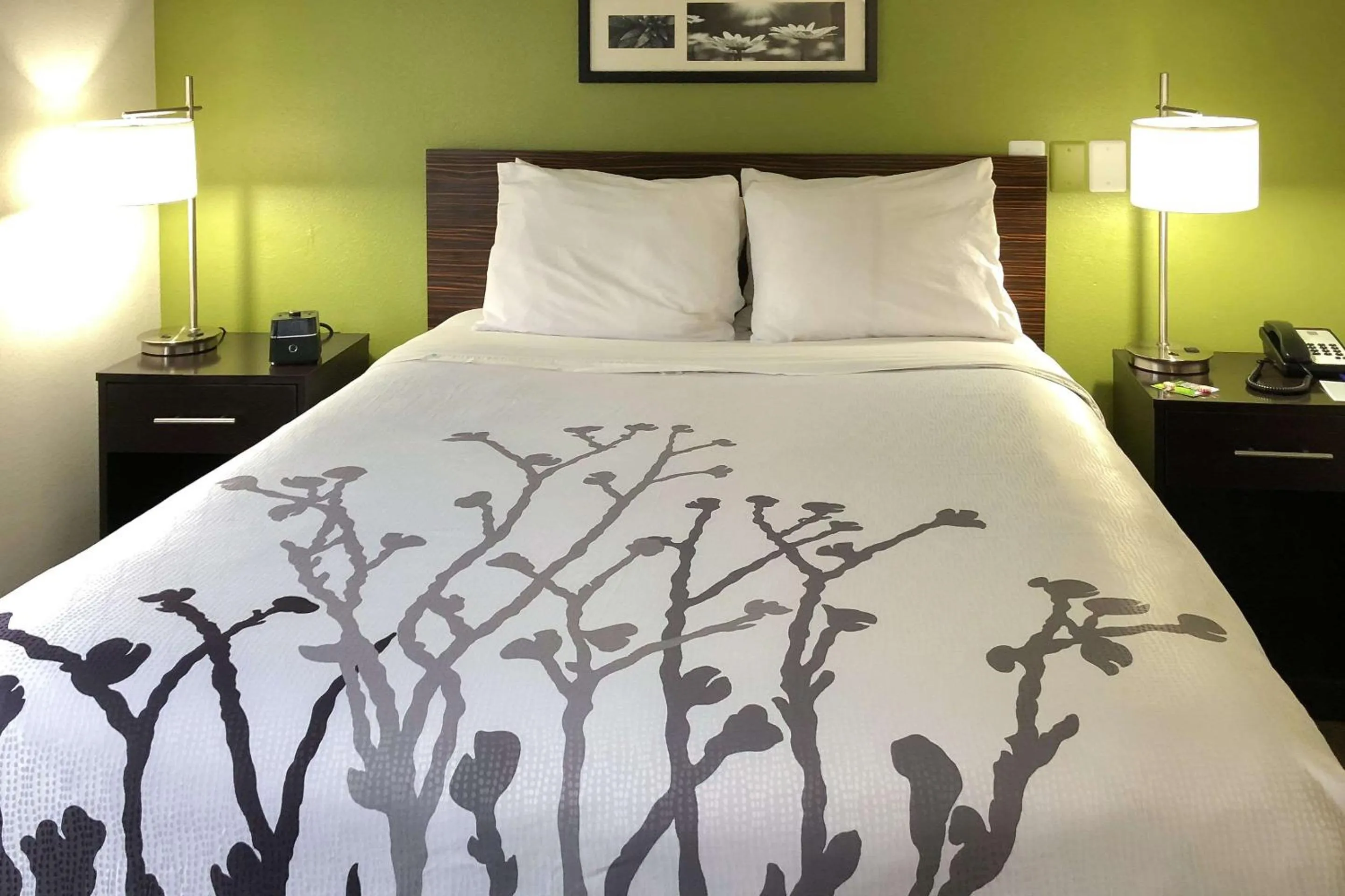 Photo of the whole room, Bed in Sleep Inn McDonough South