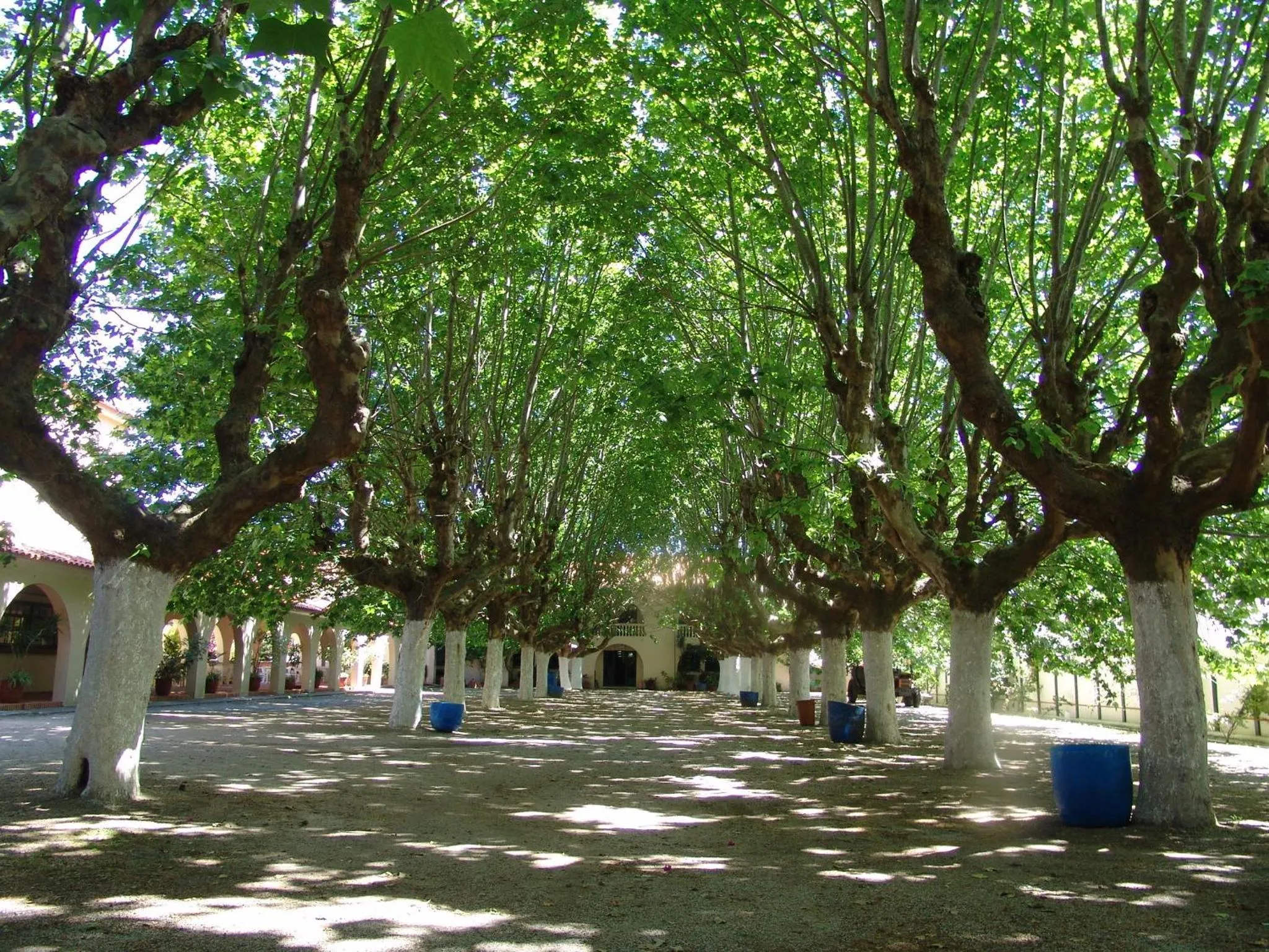 Natural landscape in Hotel Atlântico Praia Cassino Rio Grande