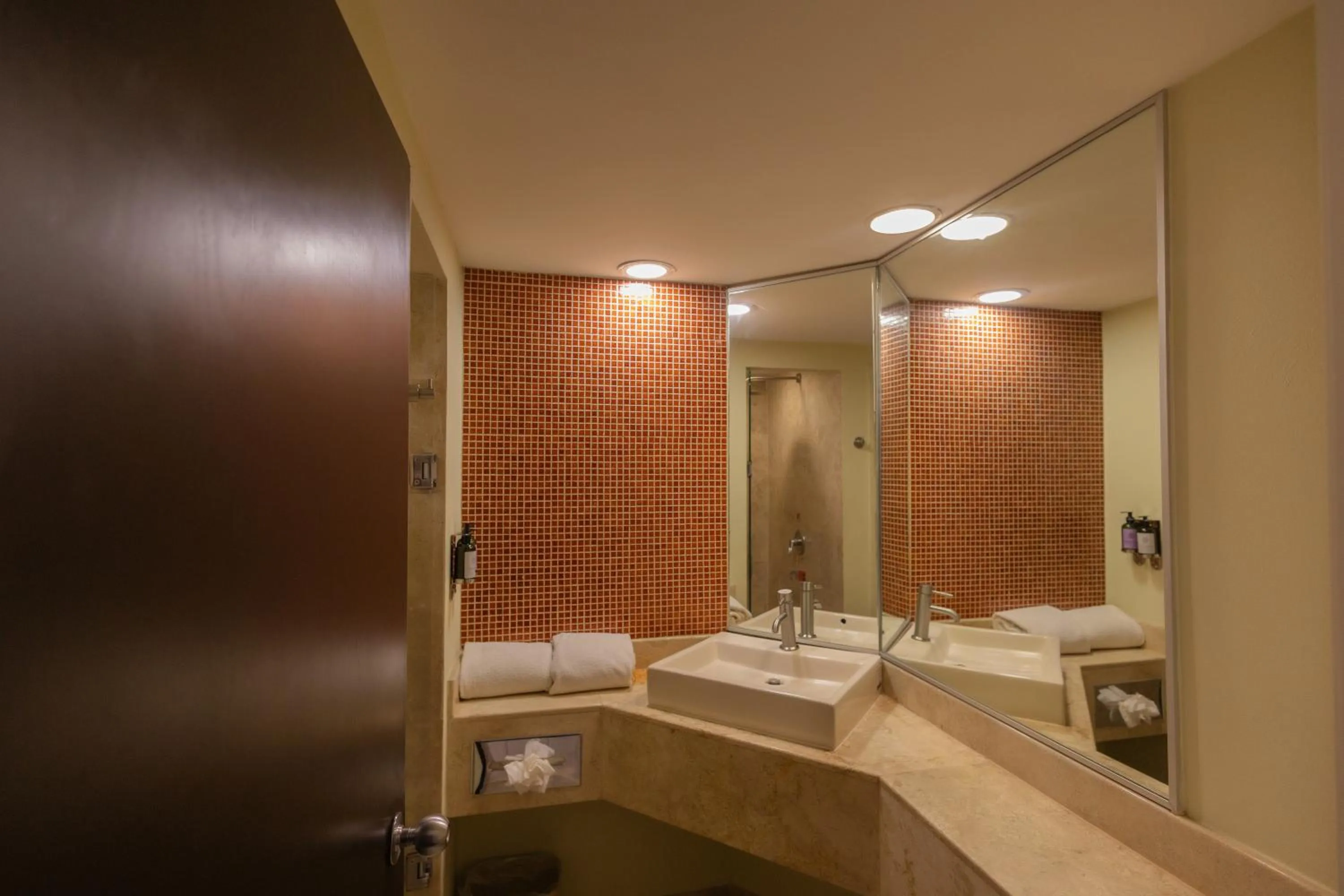 Bathroom in Fiesta Inn Nogales