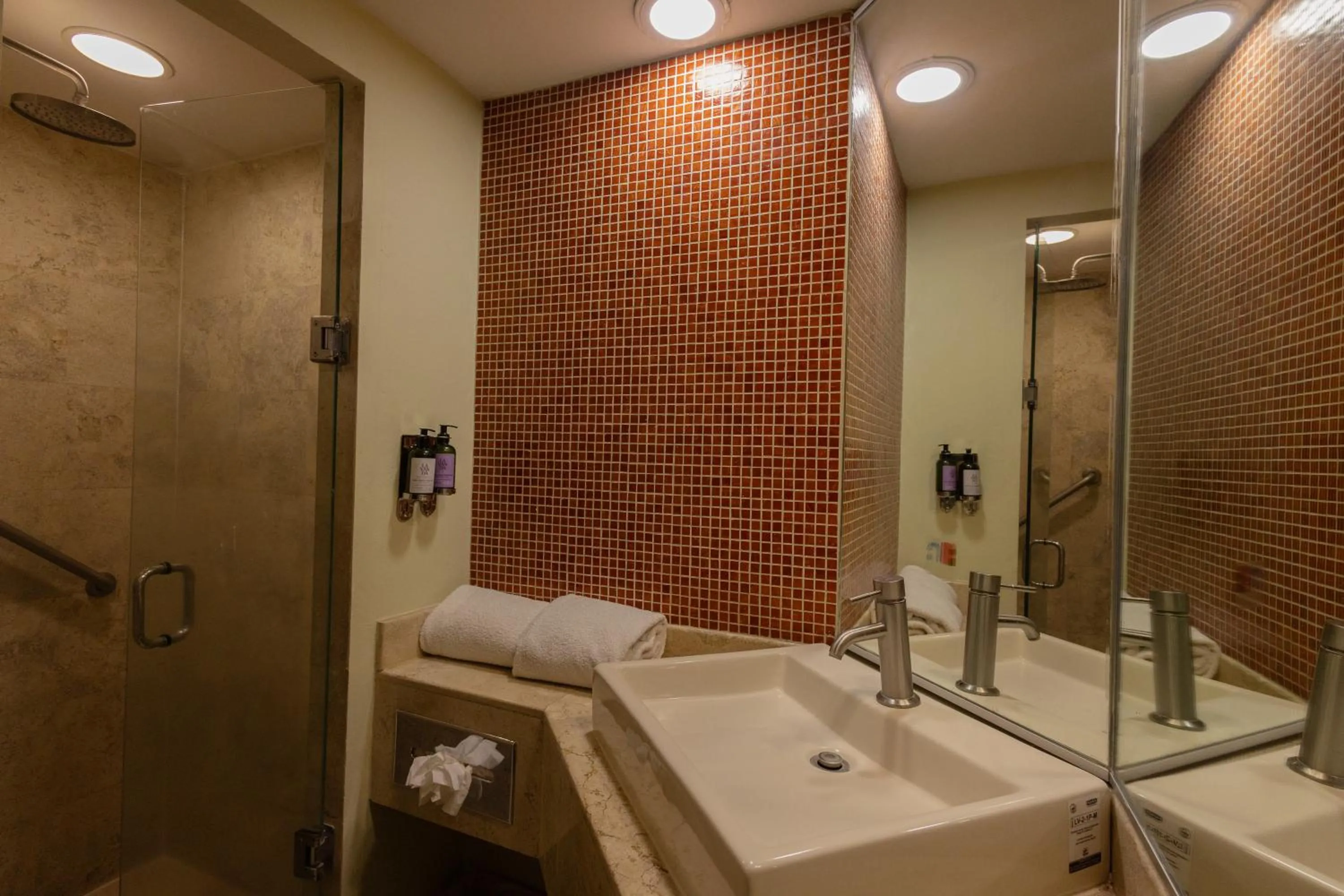 Shower in Fiesta Inn Nogales