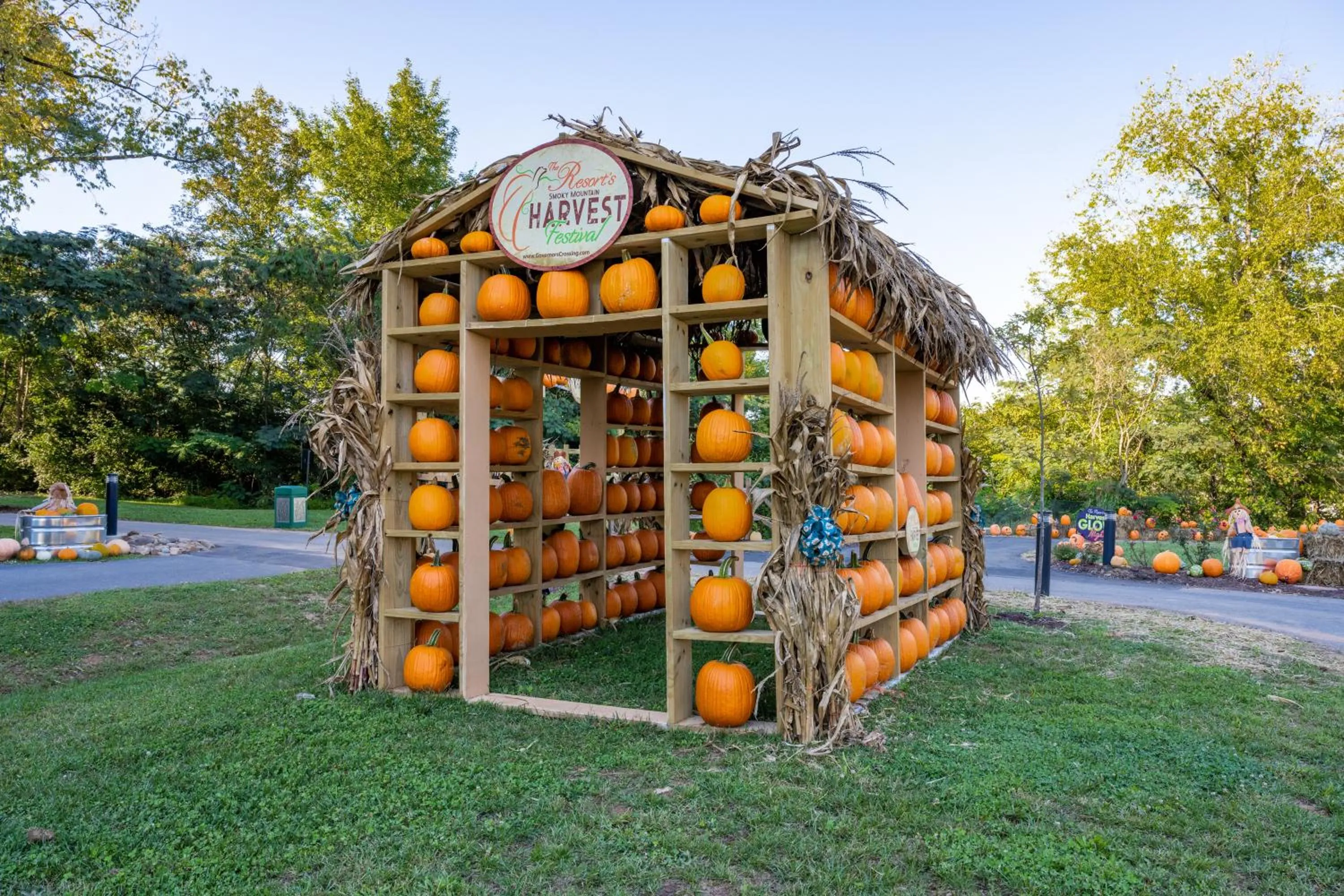 Activities in The Resort at Governor's Crossing