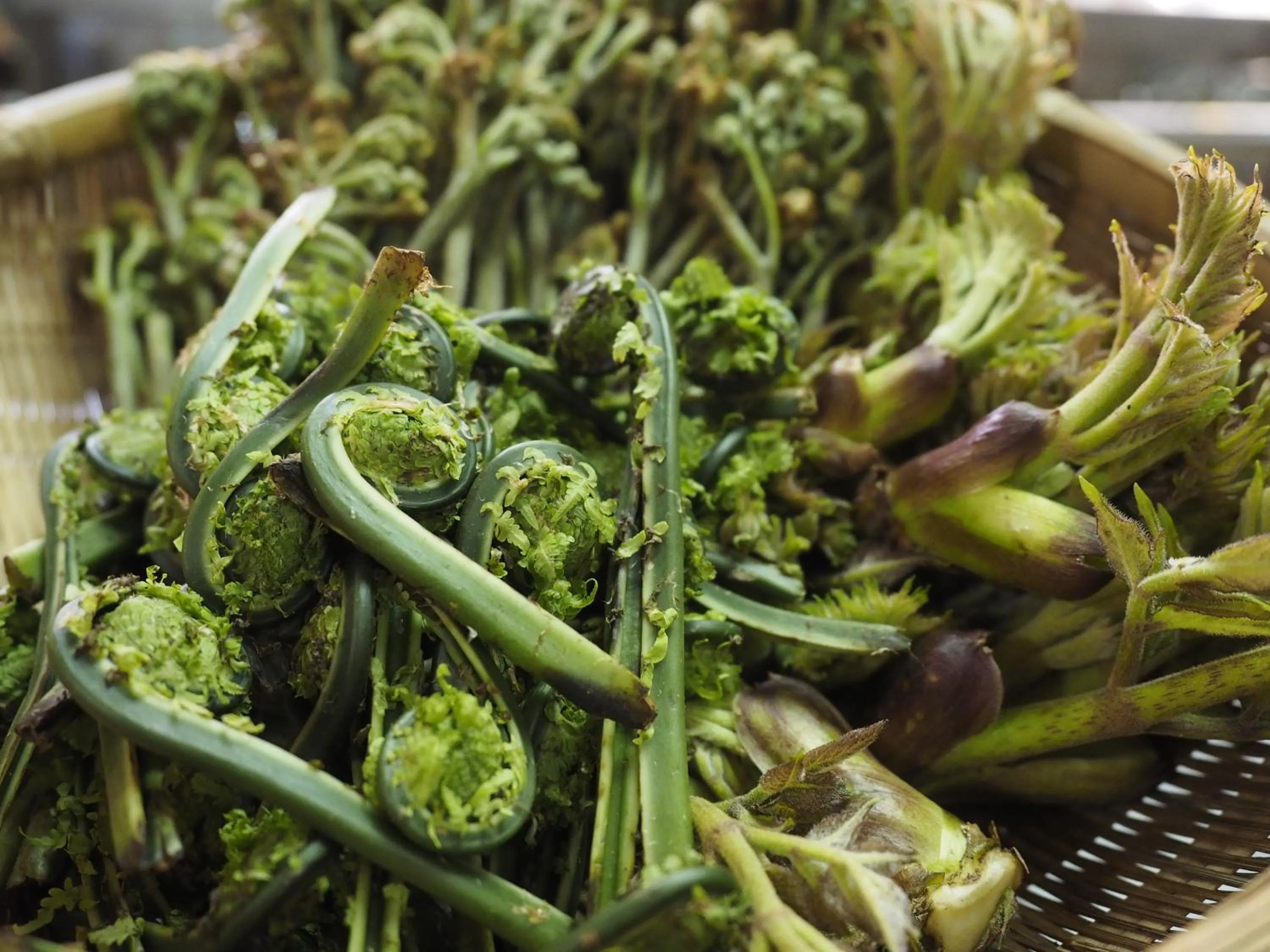 Food in Super Hydrogen Rich Spa Yado Kanzan