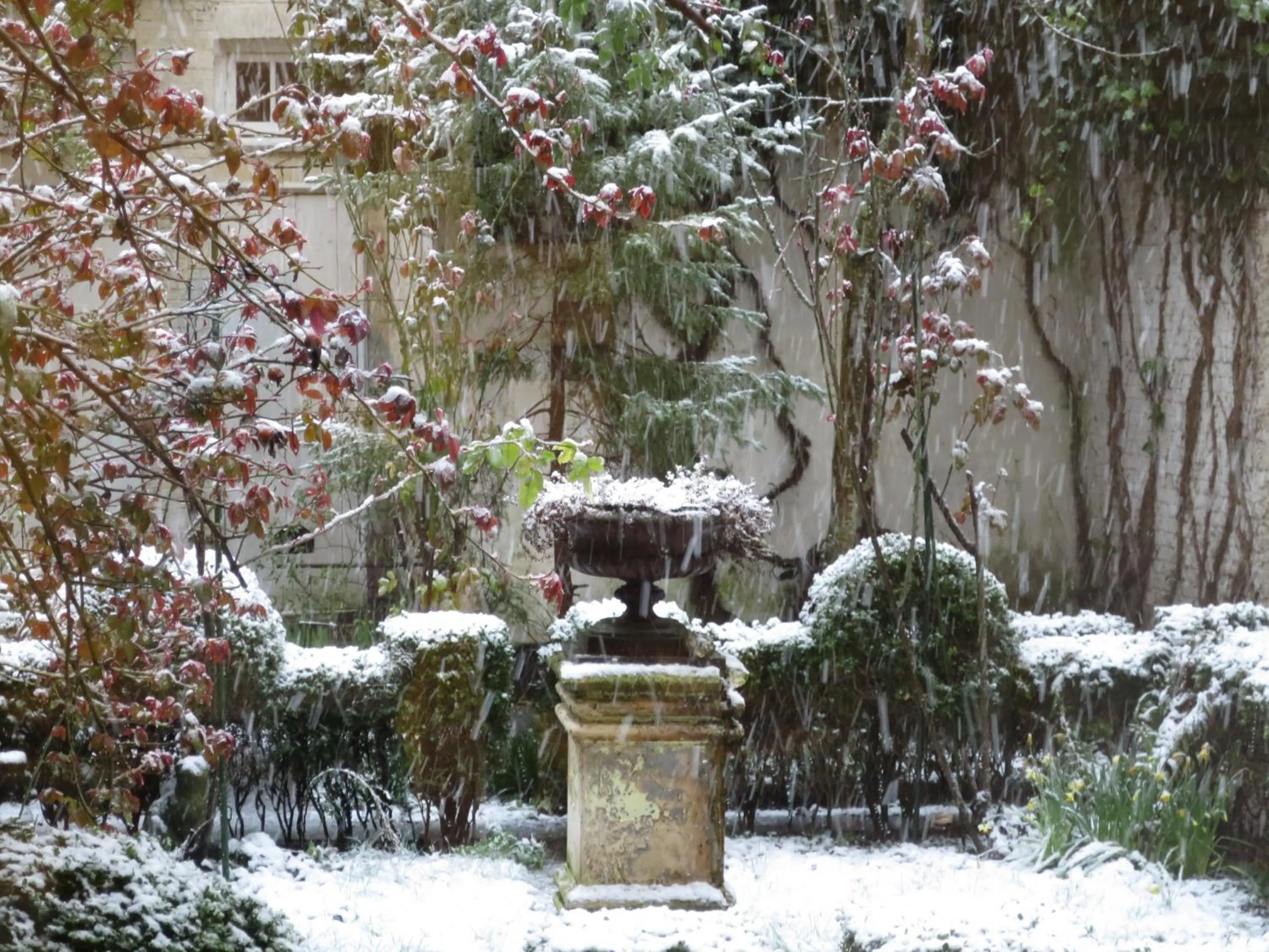 Garden view in Hotel Alegria