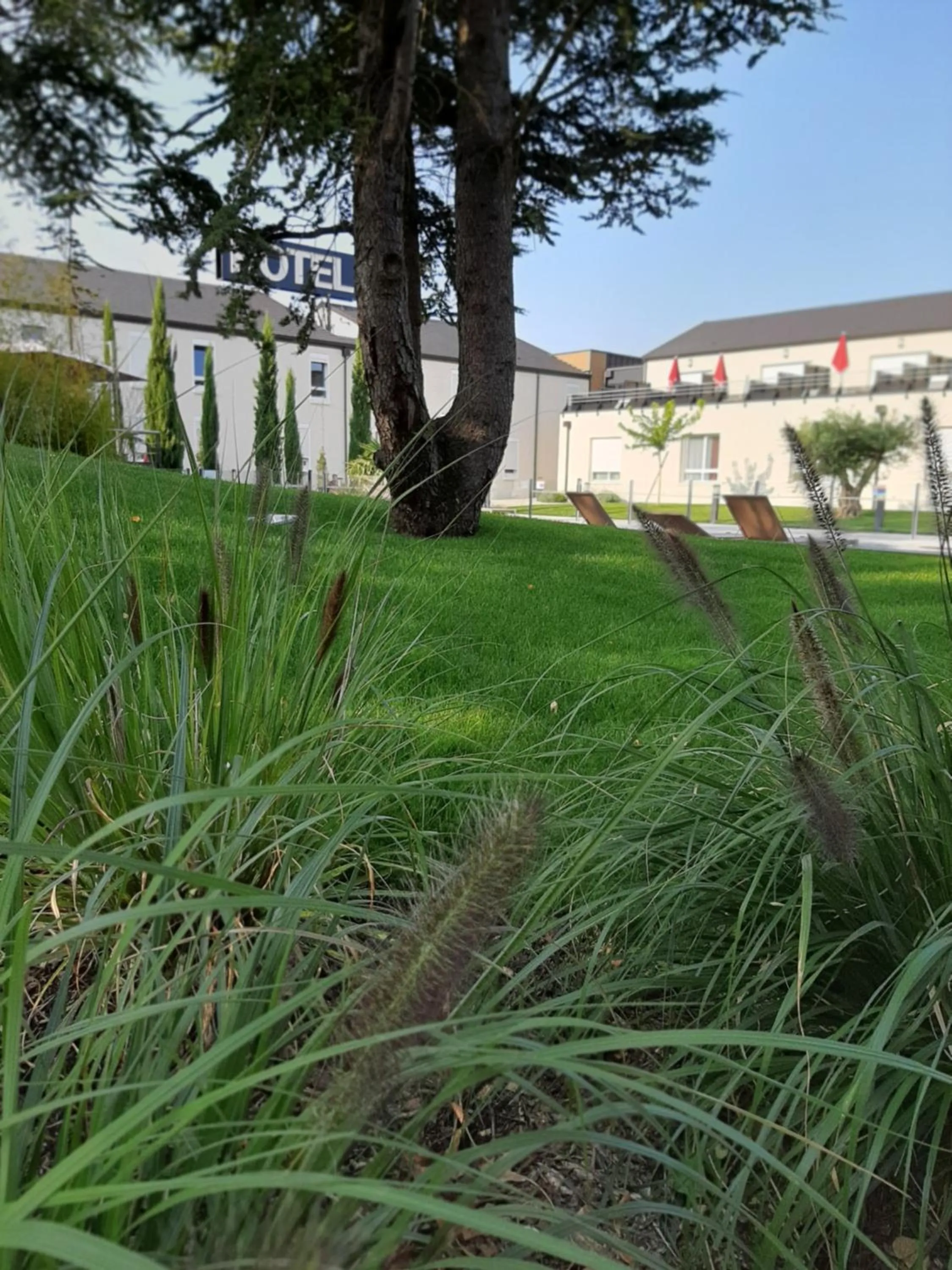 Garden view in Logis Hotel Relais Saint Jacques - Châteauroux