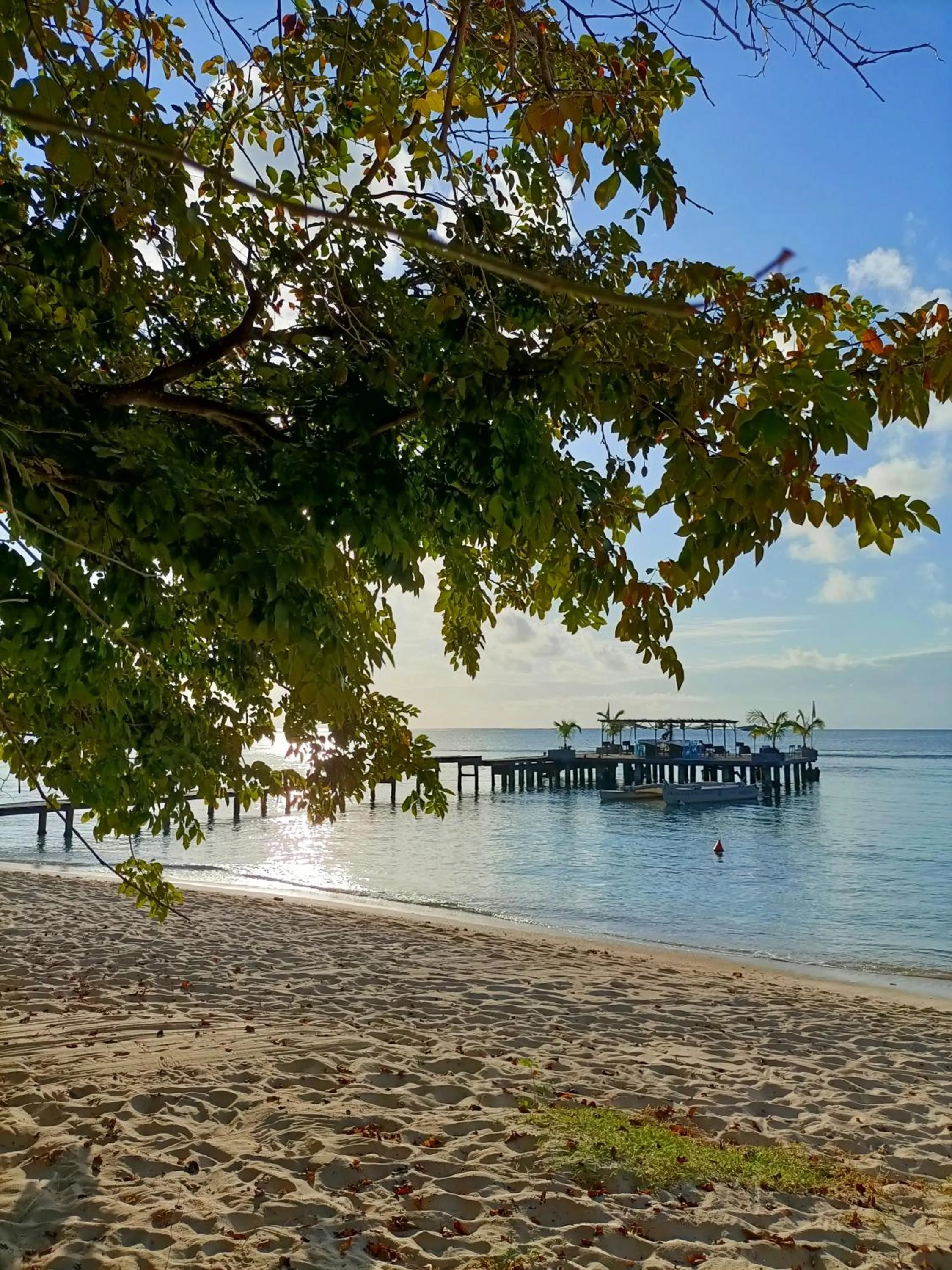 Beach in Princesse Bora Lodge & Spa