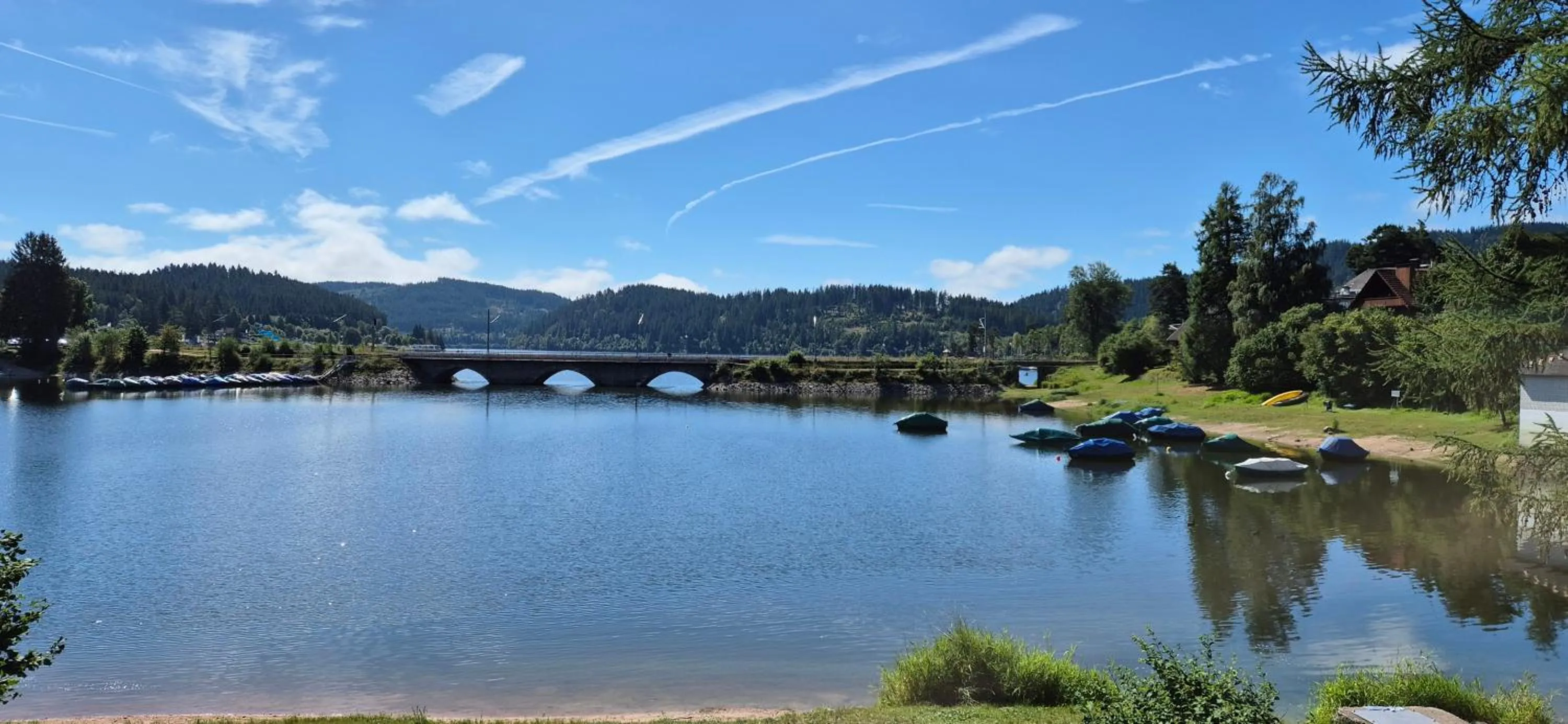 Natural landscape in Hotel Schiff am Schluchsee