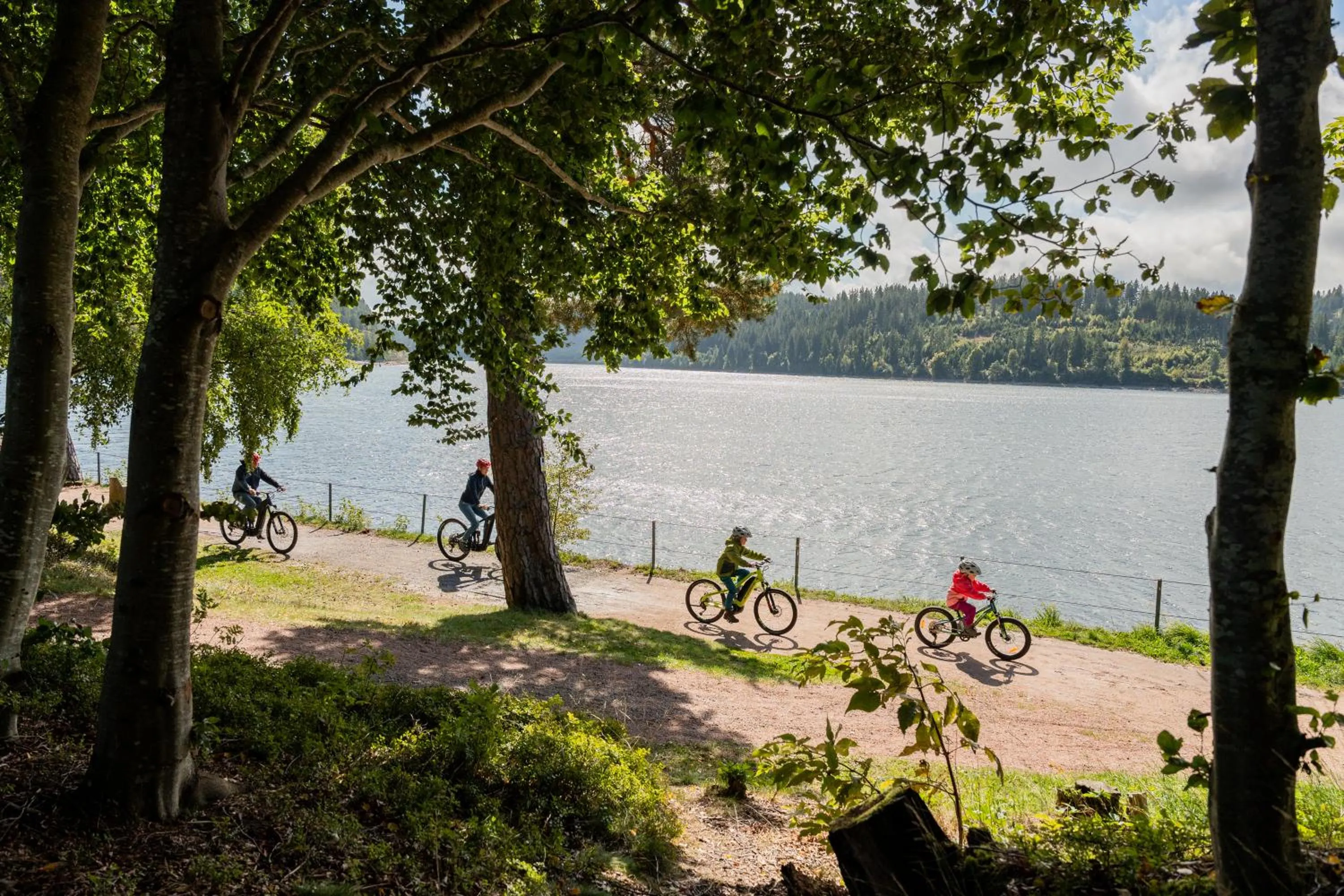 Cycling in Hotel Vier Jahreszeiten am Schluchsee