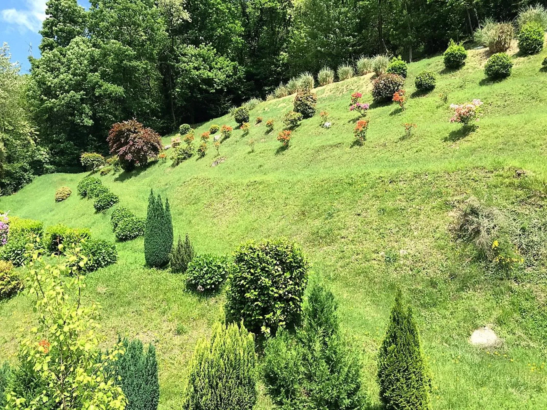Garden in Hotel Fontaine Bleue