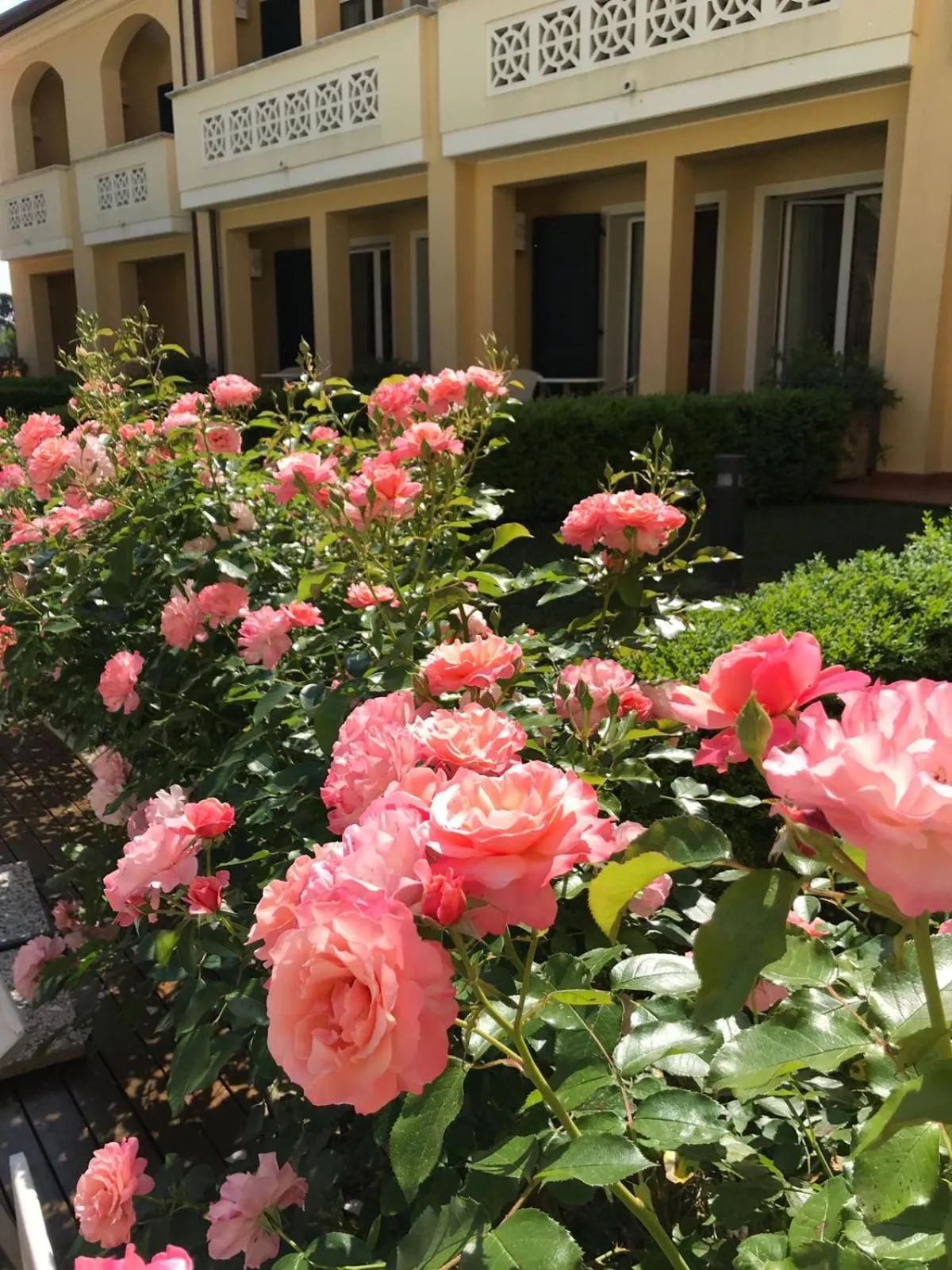 Property building in Villa Rosella Resort