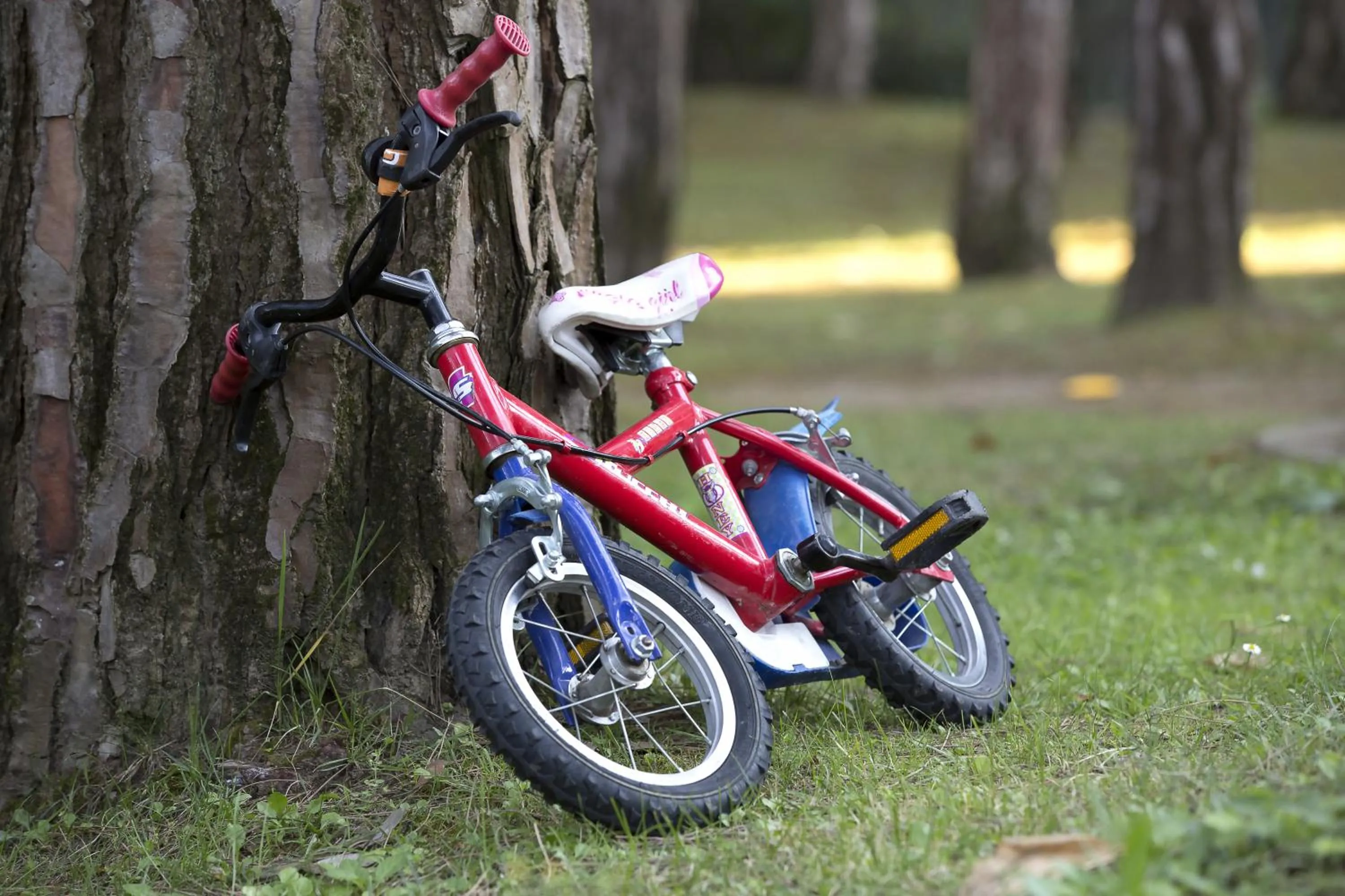 Garden in Hotel San Marco