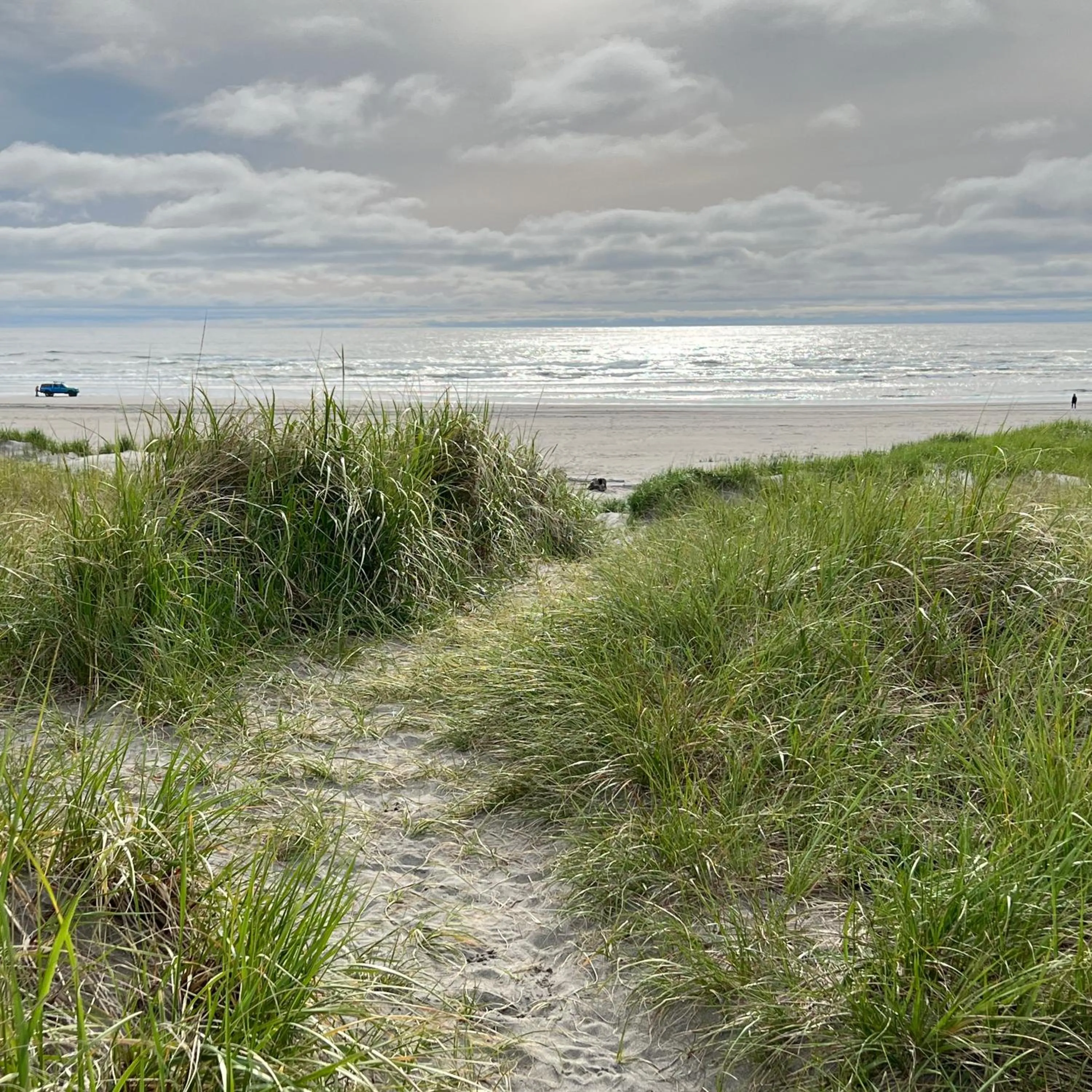Natural landscape in Lighthouse Oceanfront Resort