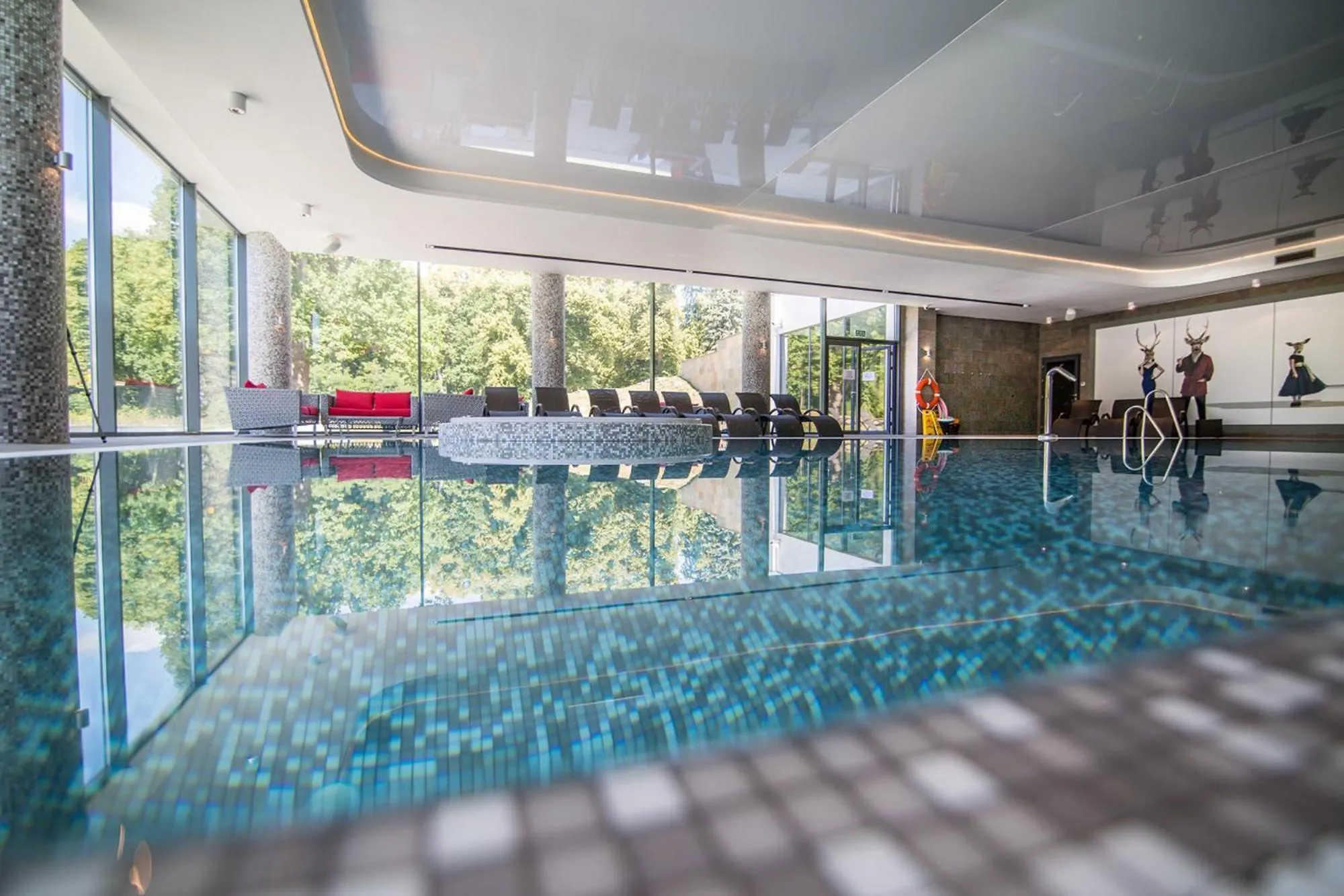 Swimming pool in Hanza Pałac Wellness & SPA