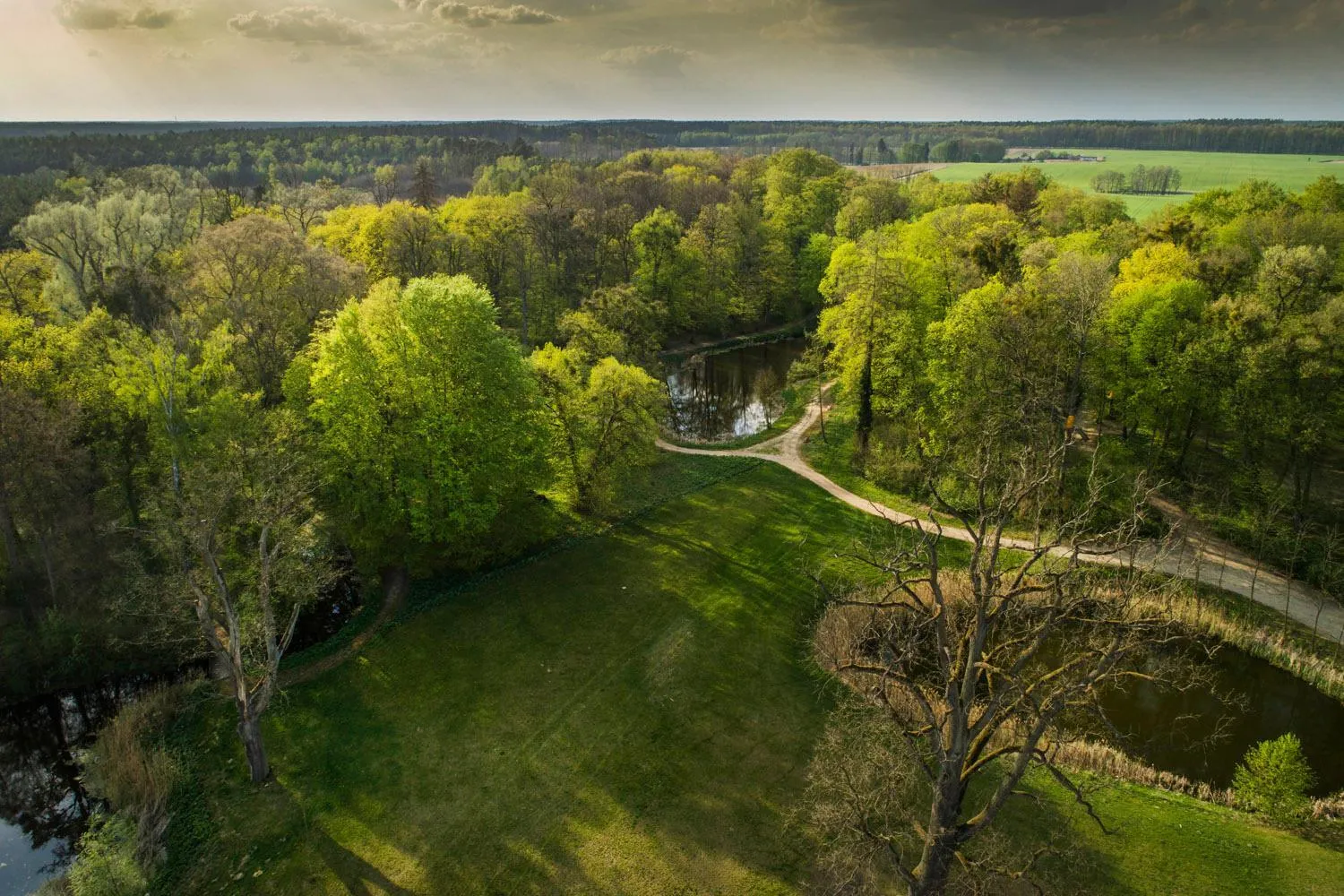 Natural landscape in Hanza Pałac Wellness & SPA
