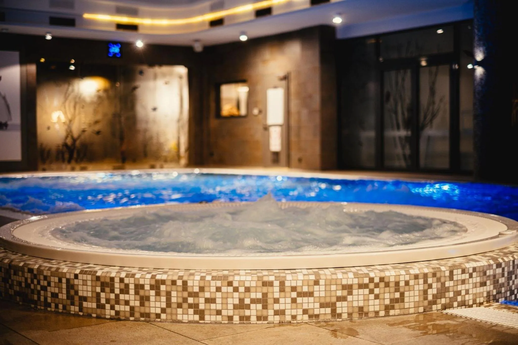 Swimming pool in Hanza Pałac Wellness & SPA