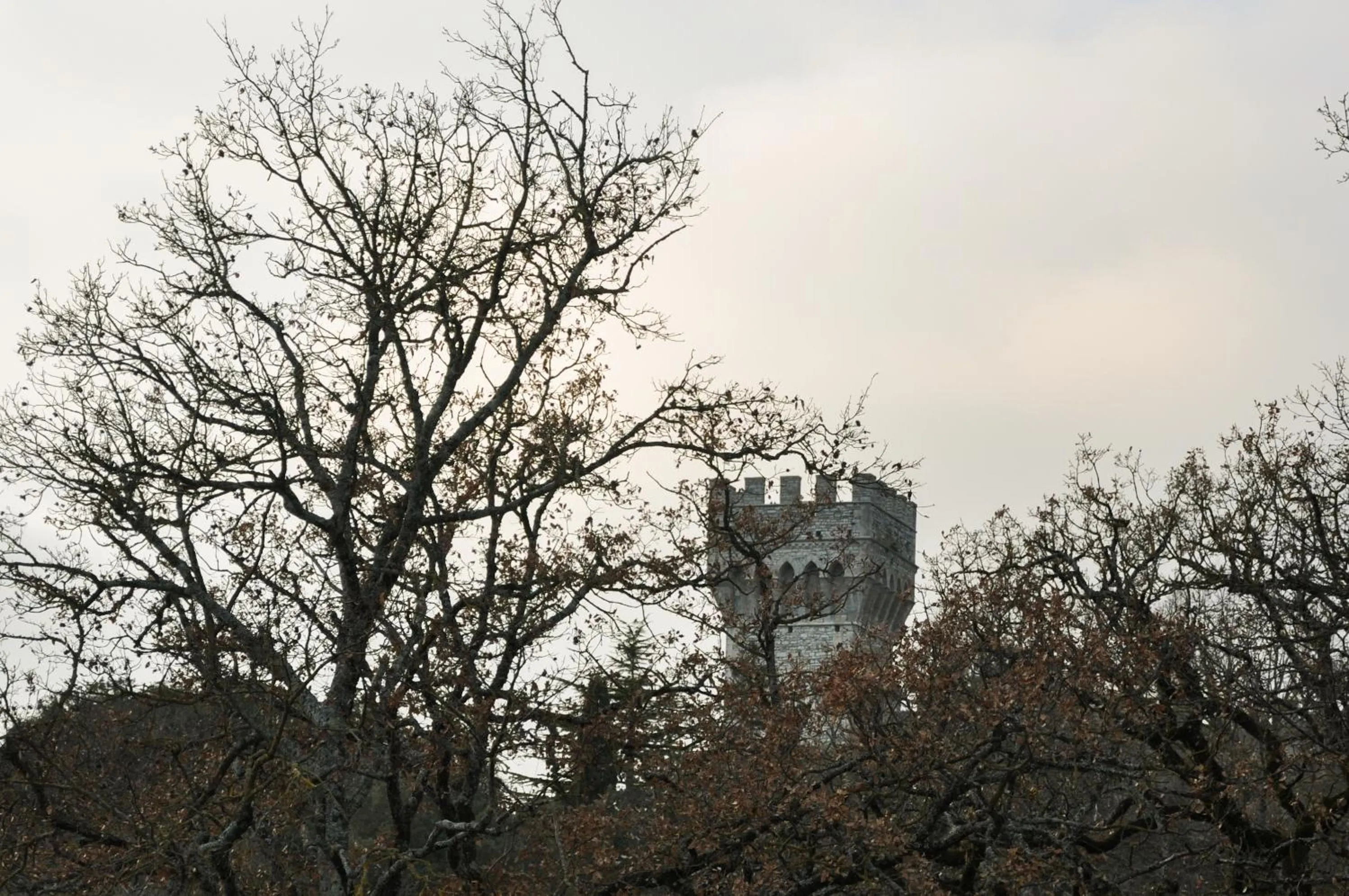 View (from property/room) in Sette Querce
