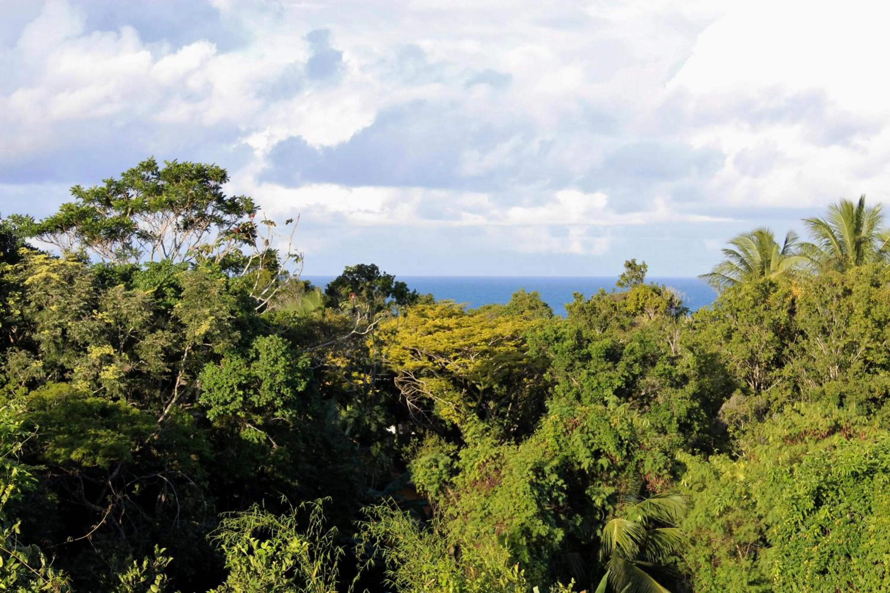 View (from property/room) in Novos Baianos Hostel e Pousada