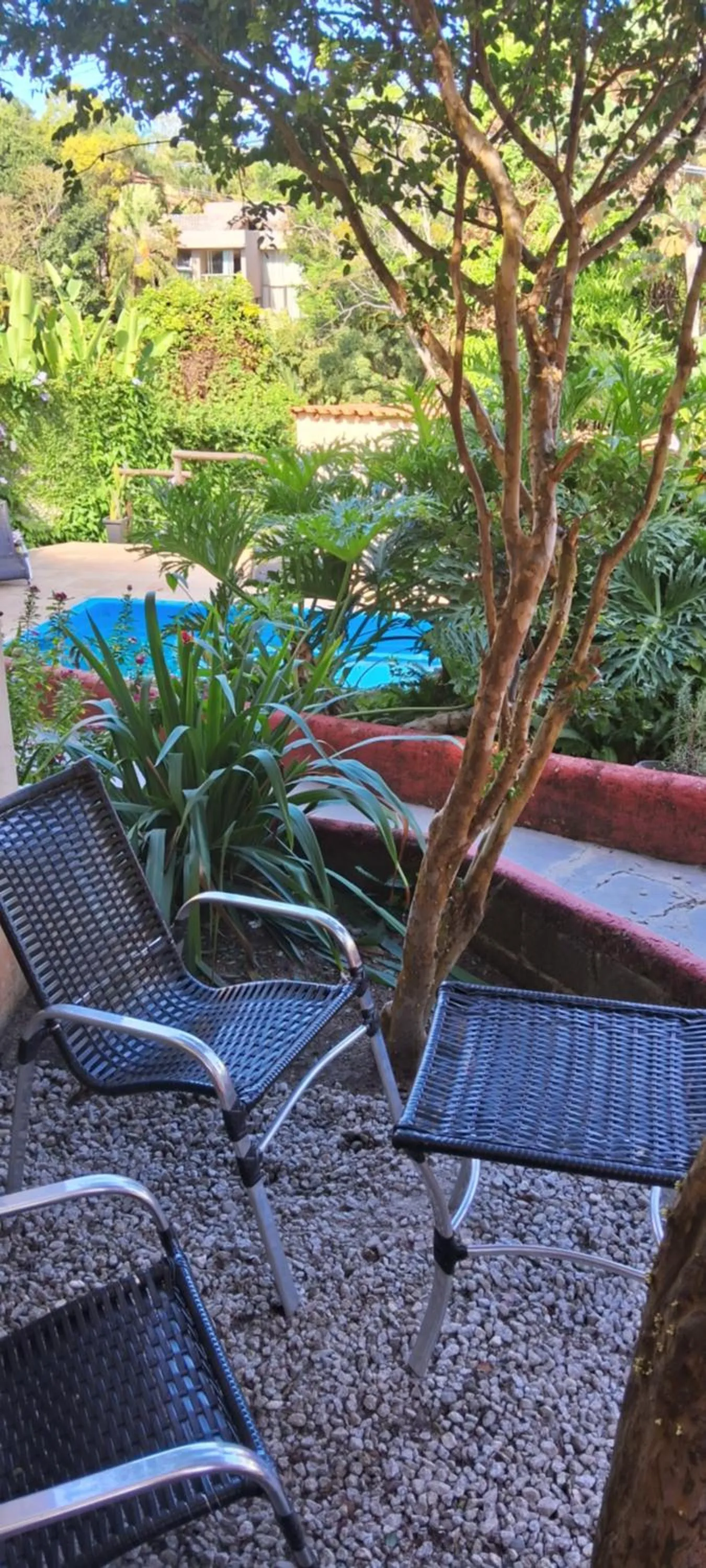 Garden in Novos Baianos Hostel e Pousada