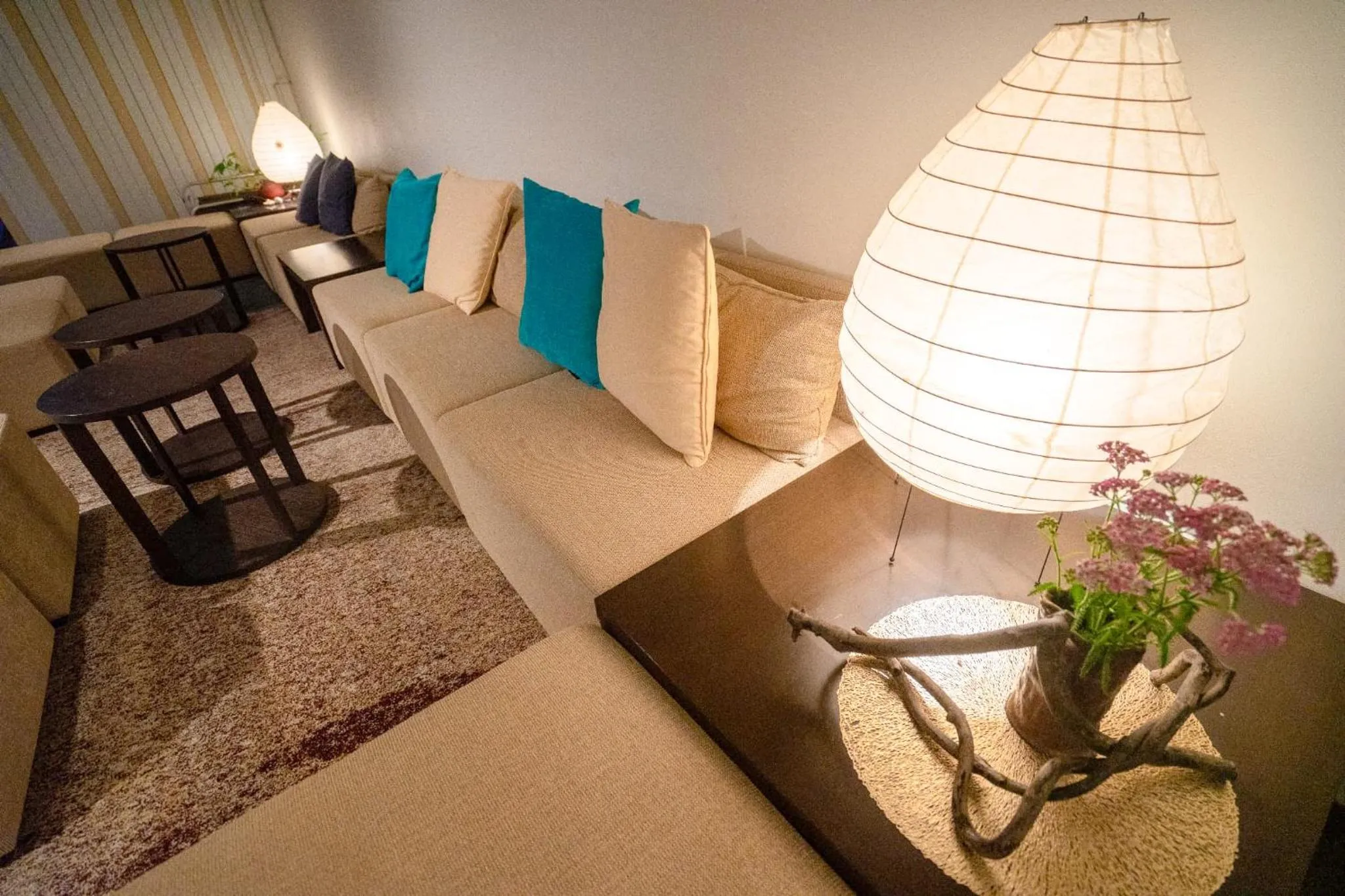 Area and facilities in Marine Blue Yakushima