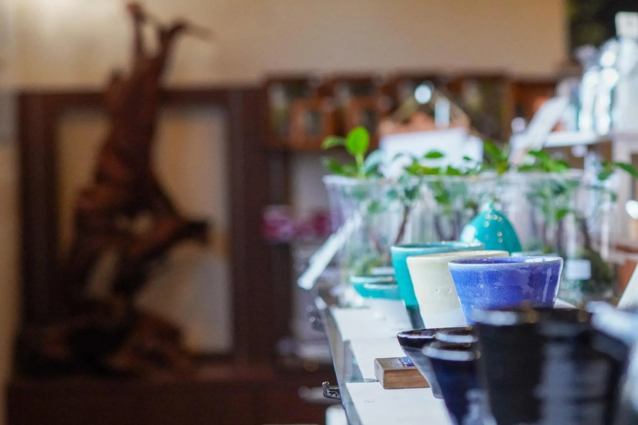 Shopping Area in Jomon no Yado Manten