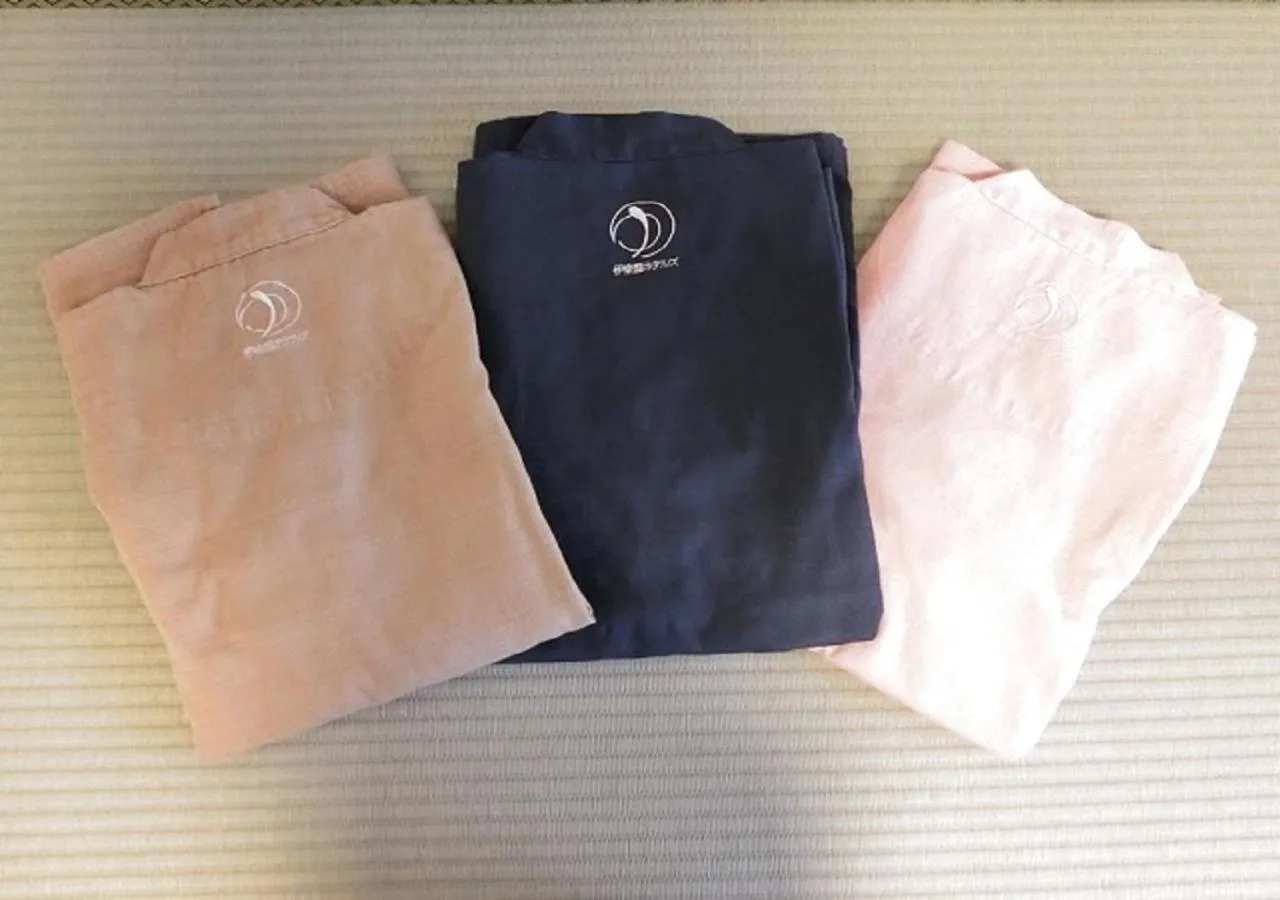 Photo of the whole room in Hotel New Momiji