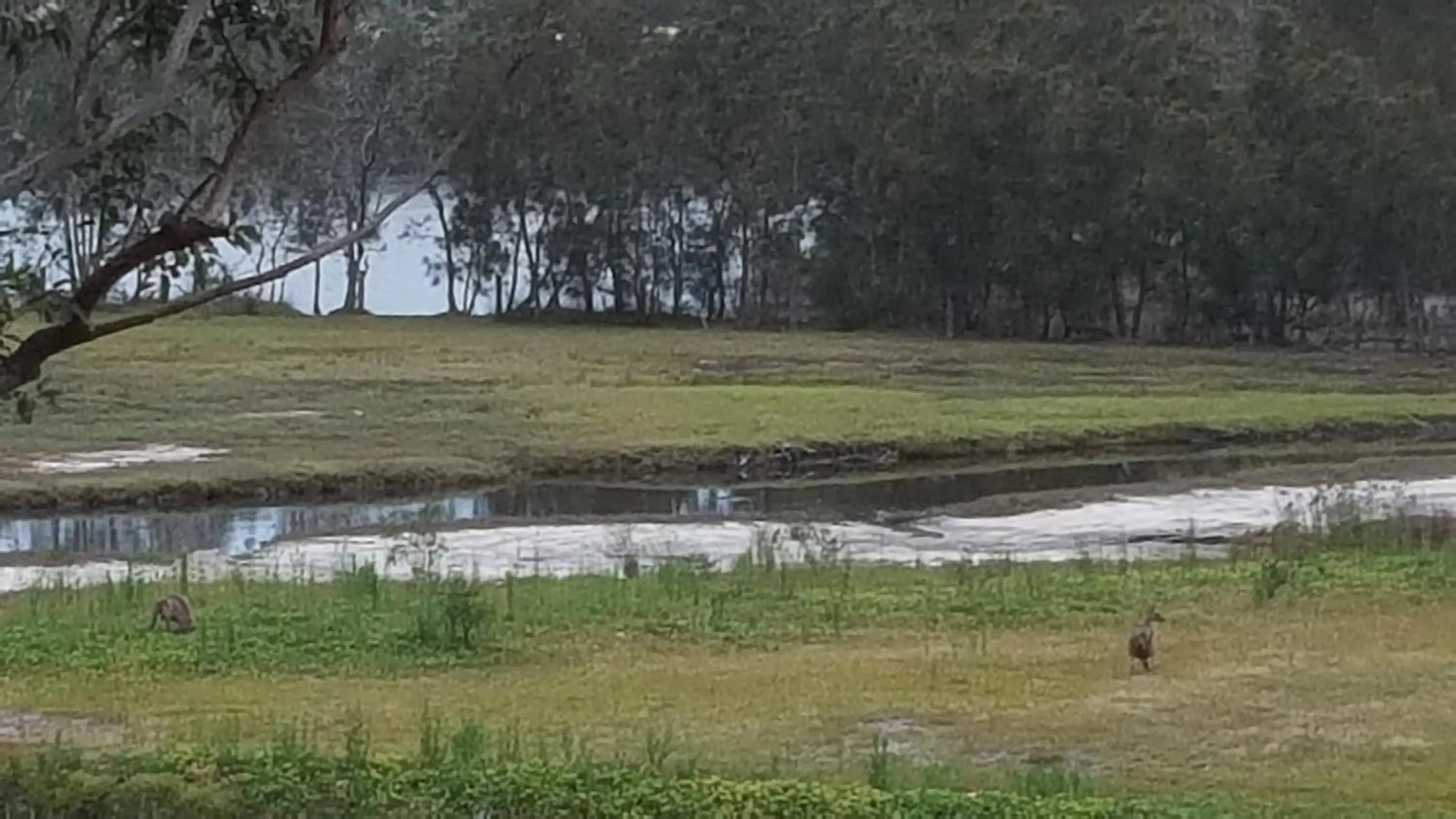 Tabourie Lake Motor Inn
