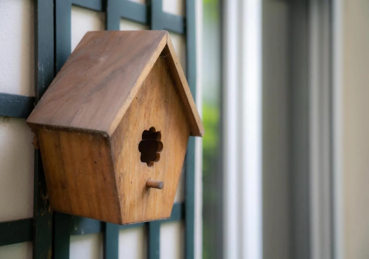 Garden in Nouvel Hôtel