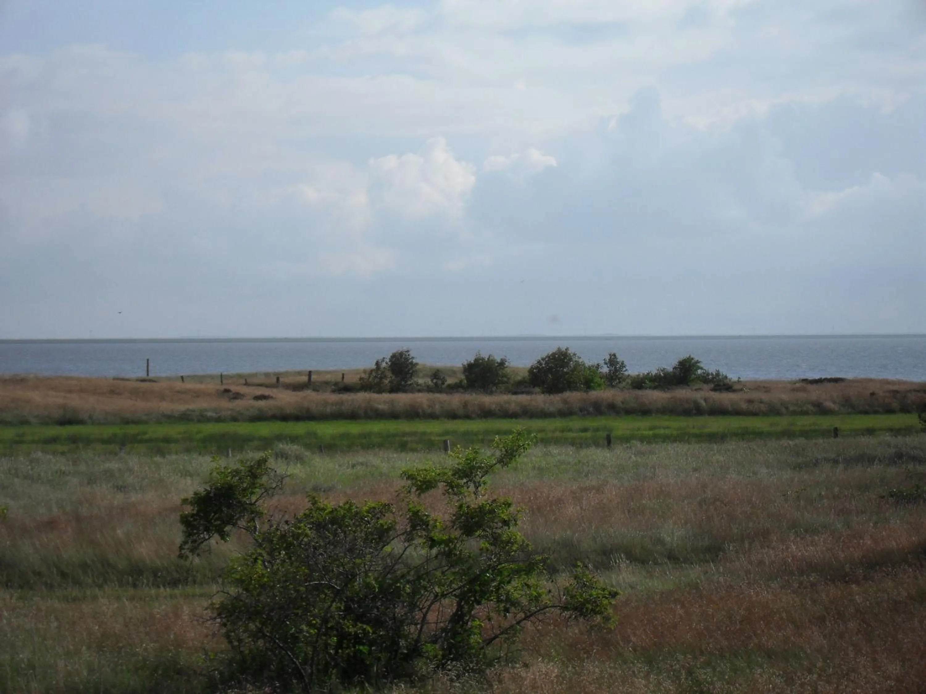 Sea view in Hotel Vadehavet