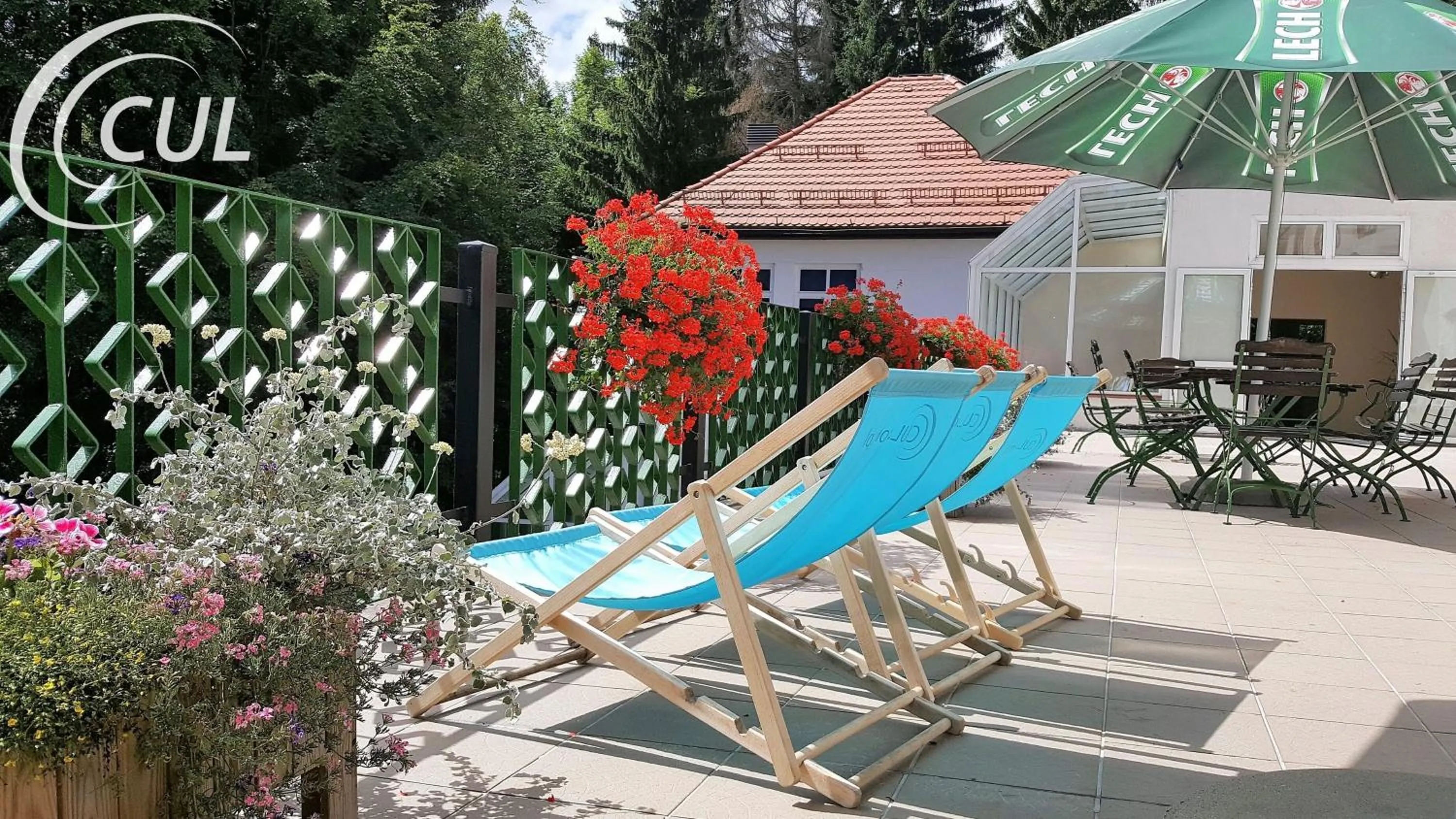 Natural landscape in Ośrodek Wypoczynkowy Olimp