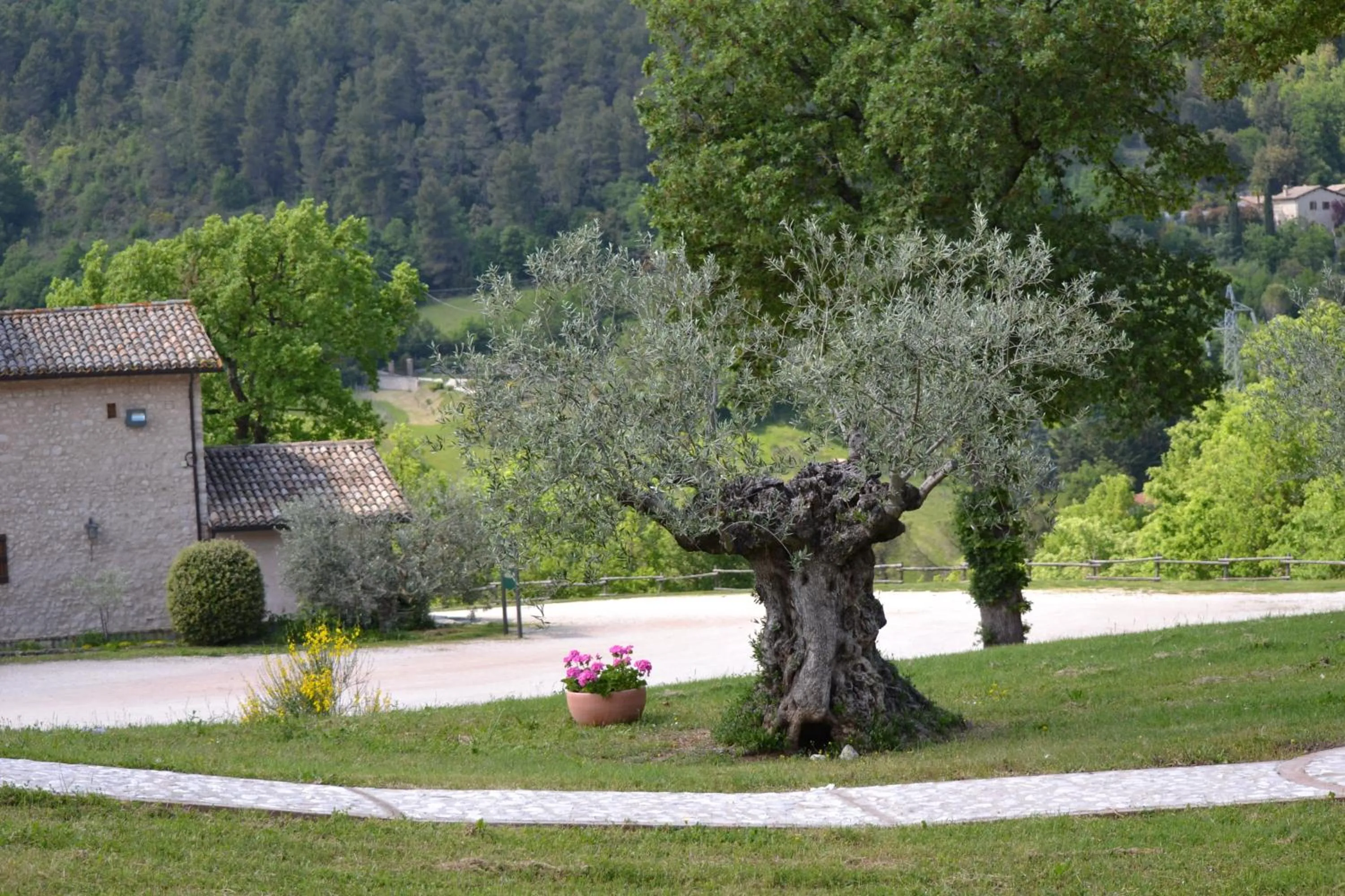 Garden in Valle Rosa