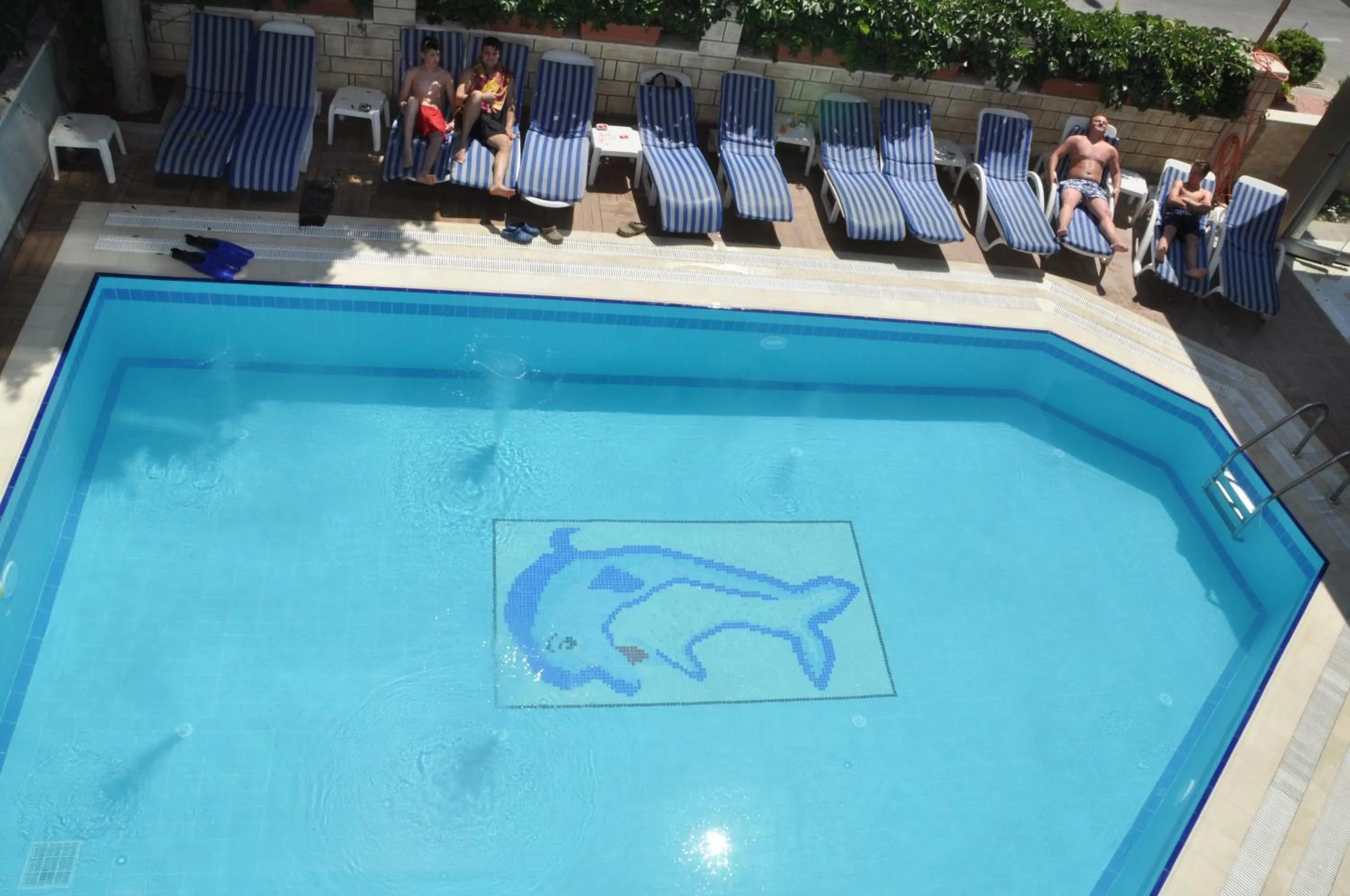 Activities in Kleopatra Micador Otel