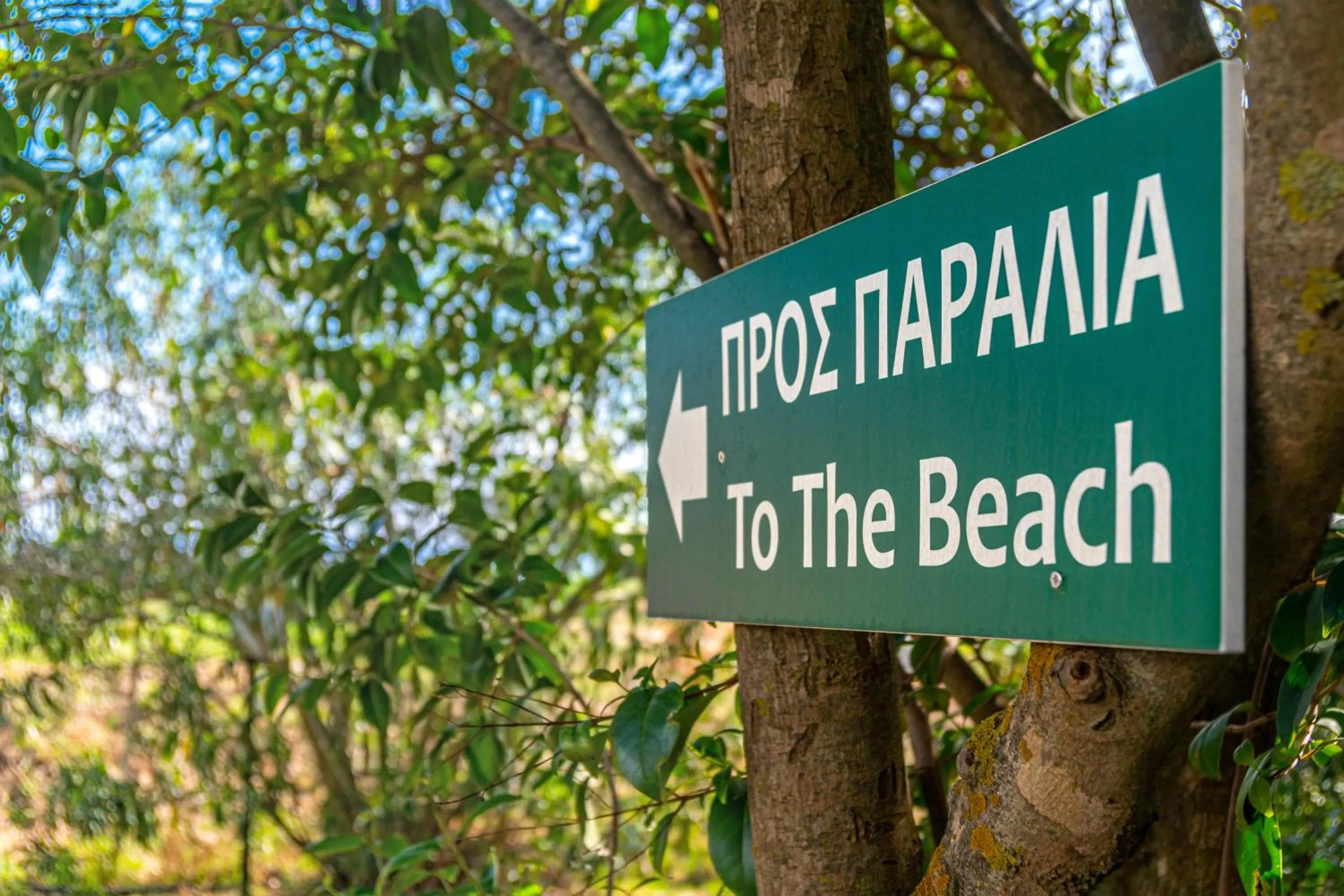 Natural landscape in Arco Beach Hotel