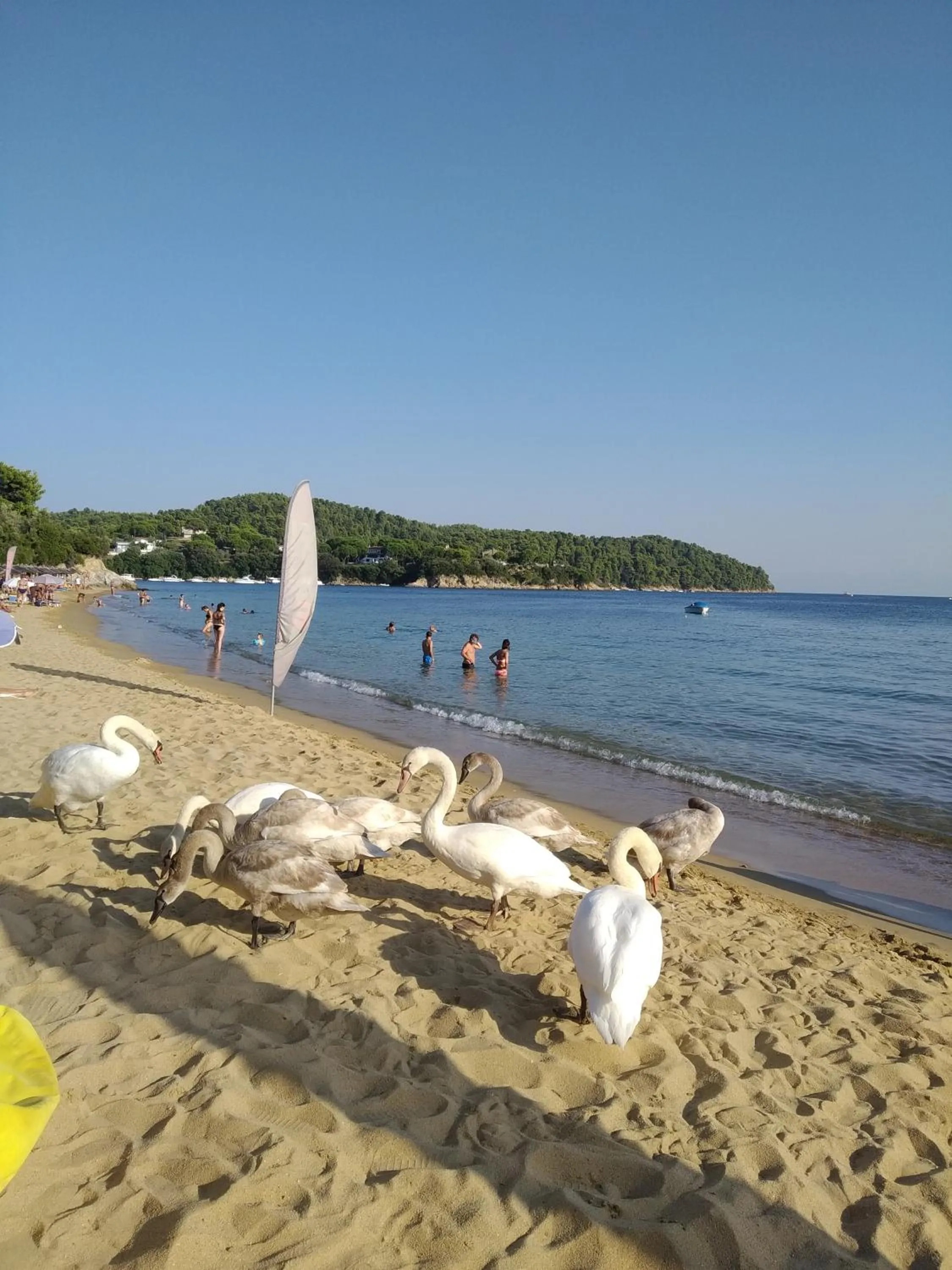 Natural landscape in Arco Beach Hotel